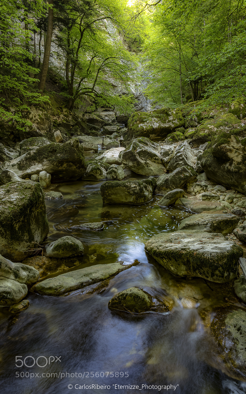 Canon EOS 6D sample photo. Gorges de l'areuse, switzerland photography
