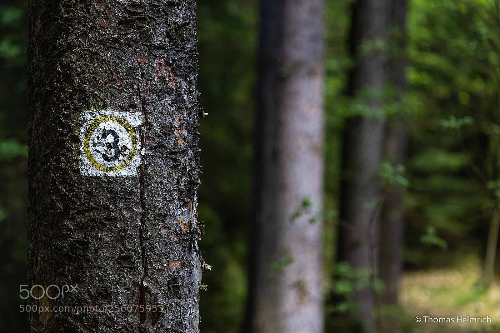 Canon EOS 6D sample photo. Wegweiser photography