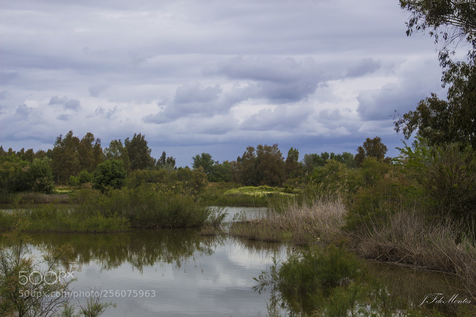 Canon EOS 700D (EOS Rebel T5i / EOS Kiss X7i) sample photo. Parque natural de guadiamar photography
