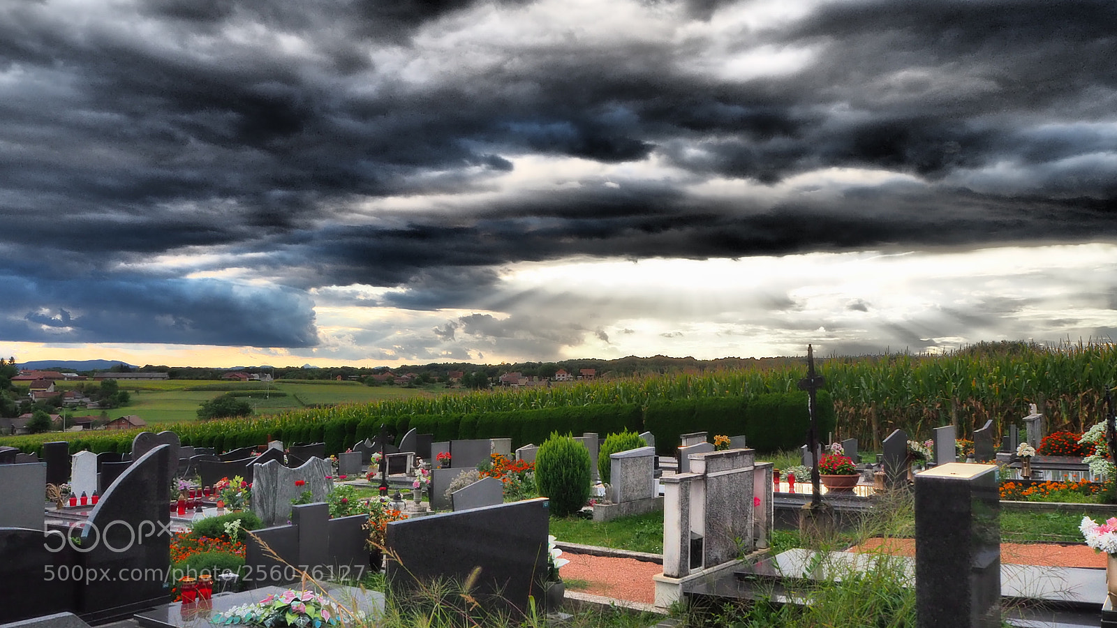 Olympus OM-D E-M10 II sample photo. Cemetry on the hill photography