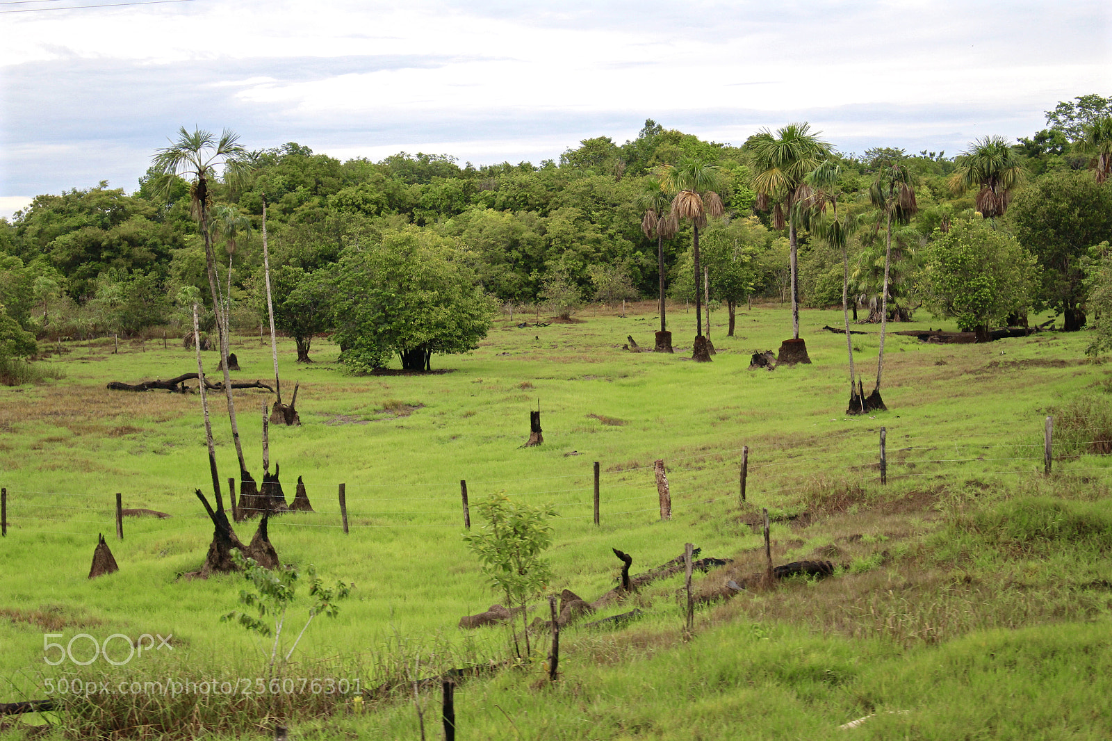 Canon EOS 700D (EOS Rebel T5i / EOS Kiss X7i) sample photo. Some kind of landscape... photography