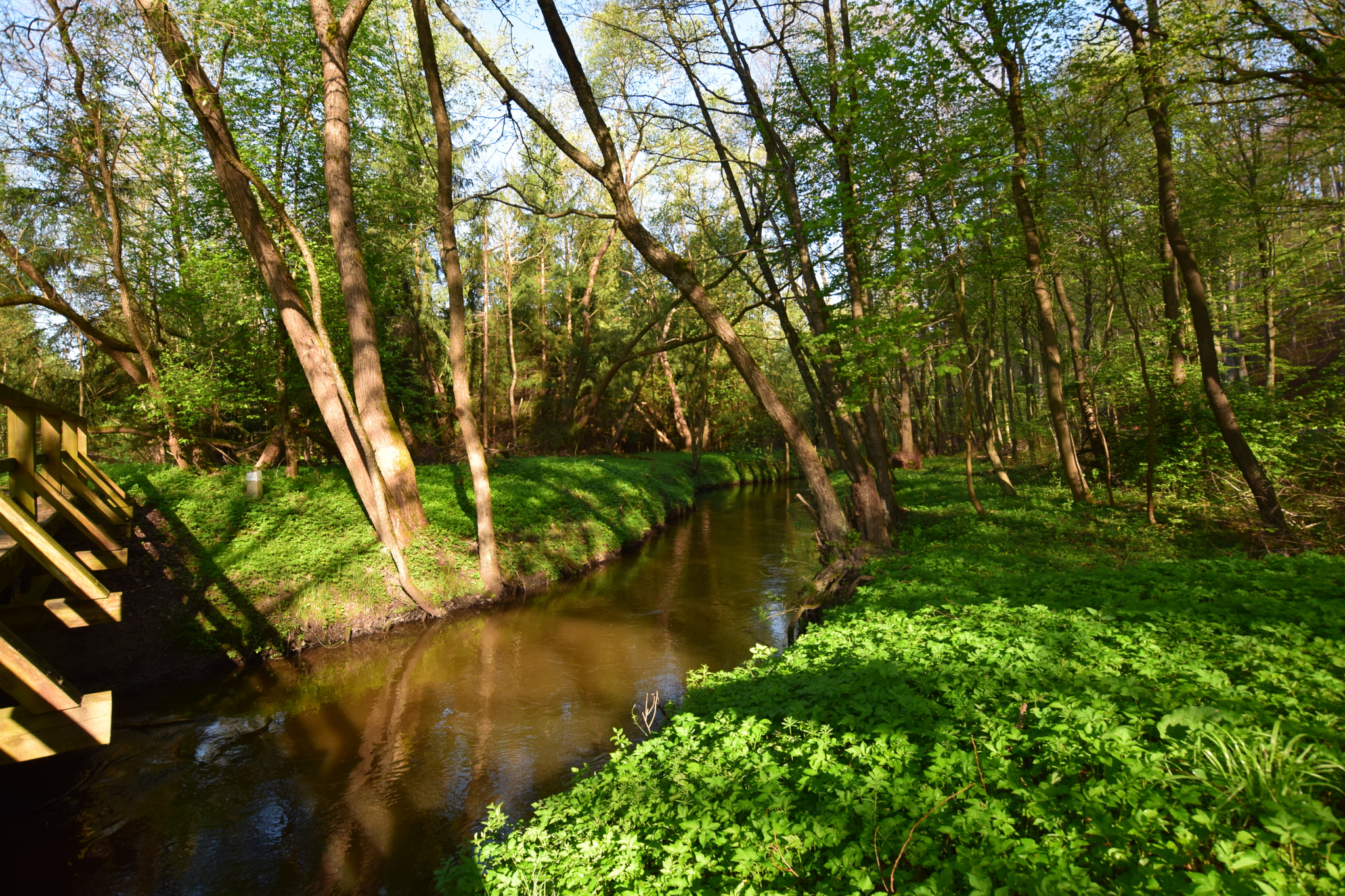 Nikon D5300 + Sigma 10-20mm F3.5 EX DC HSM sample photo. Spring on the river. photography