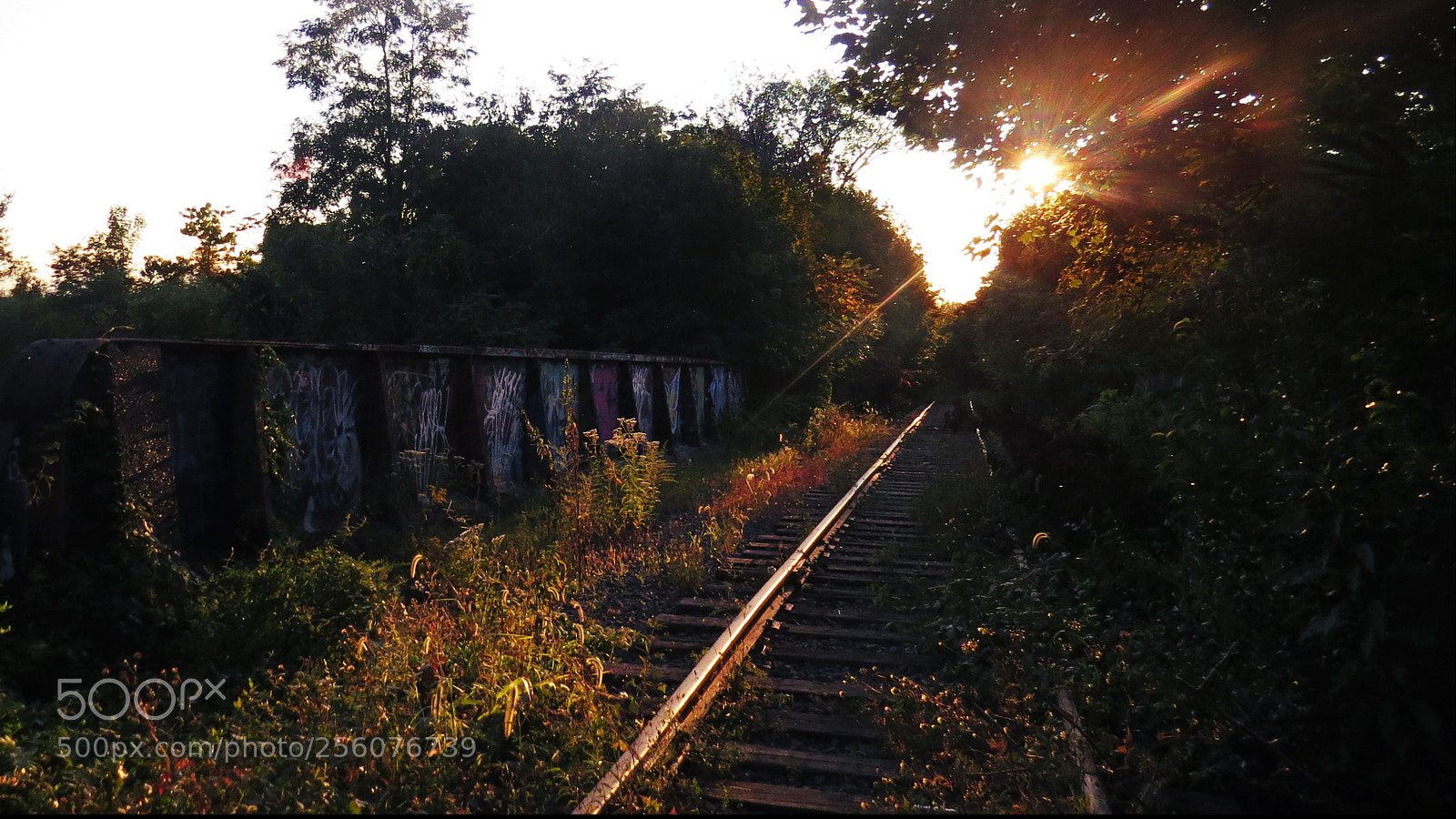 Canon PowerShot SX50 HS sample photo. Sunset bridge photography