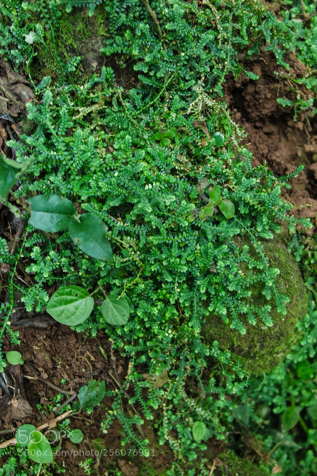 Samsung NX3000 sample photo. Untitled photography