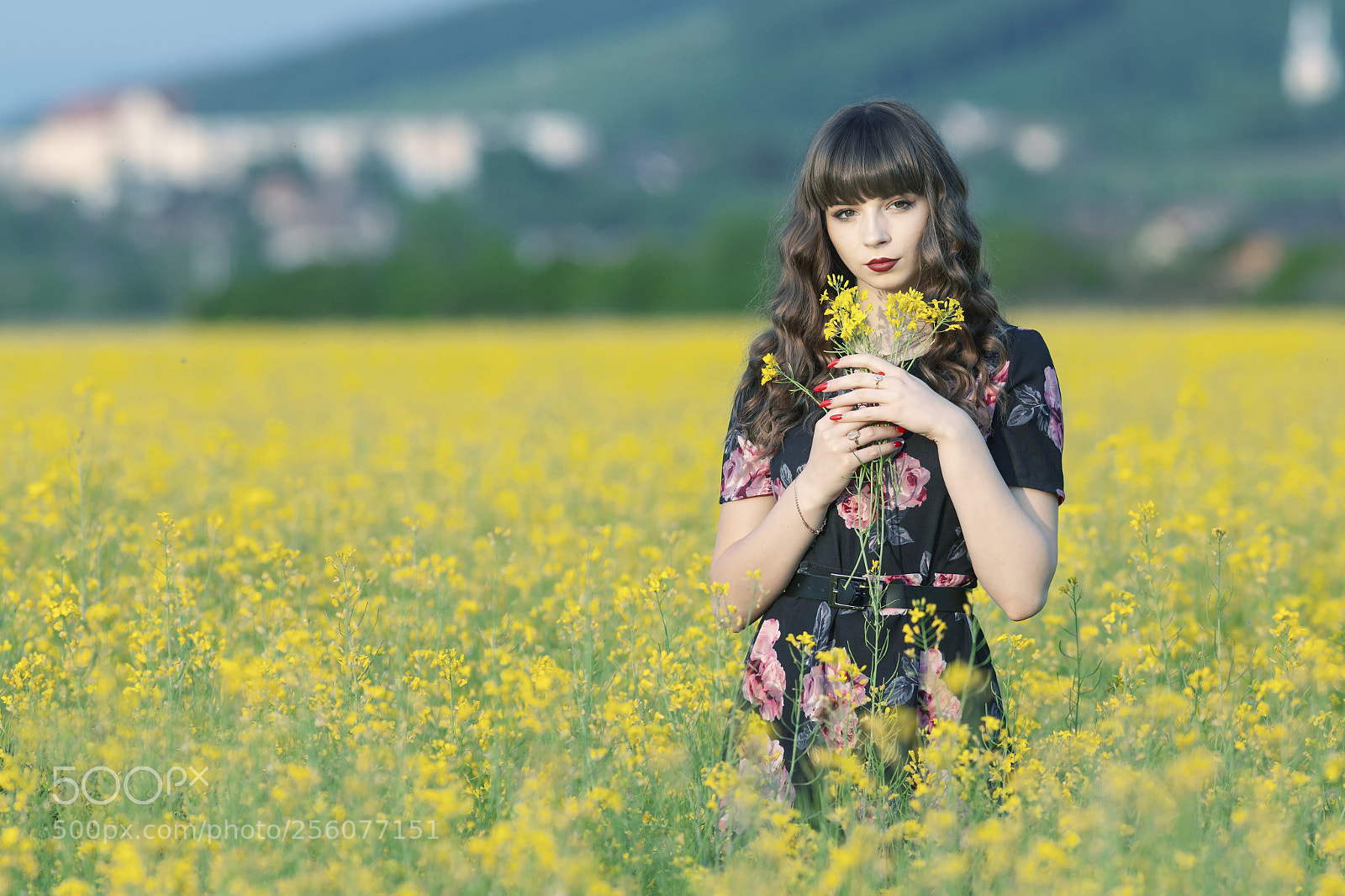 Canon EOS 5D Mark II sample photo. Edina photography