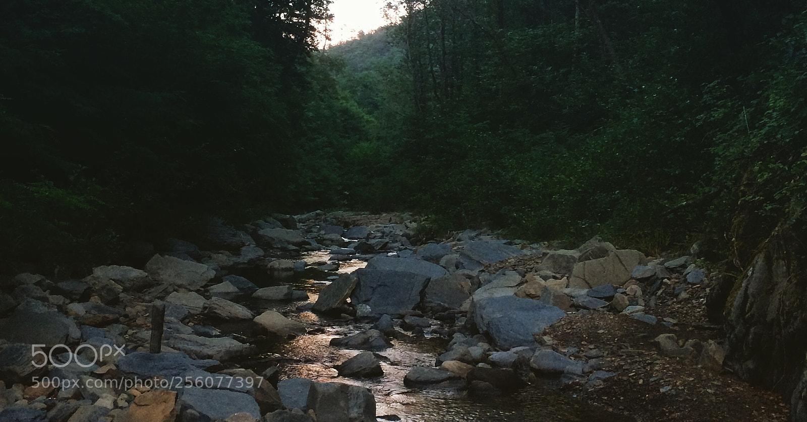 Apple iPhone 5s sample photo. Untitled photography