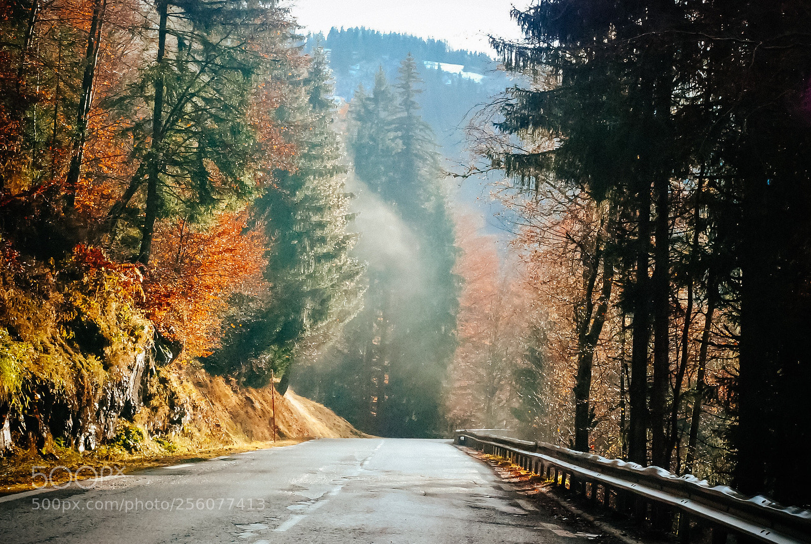 Nikon D80 sample photo. Autumn alps photography