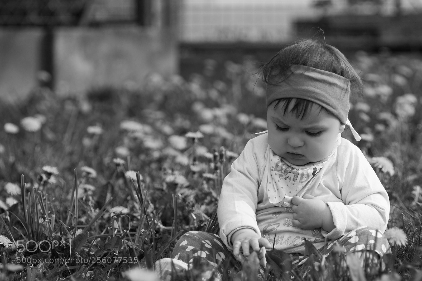 Nikon D7100 sample photo. Majka photography