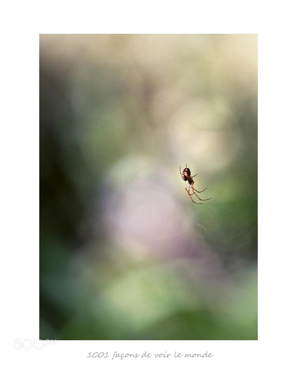 Canon EOS 7D Mark II sample photo. Tisseuse aérienne photography