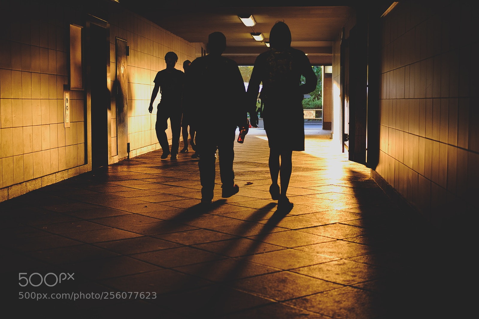 Fujifilm X-T20 sample photo. Untergangslicht photography