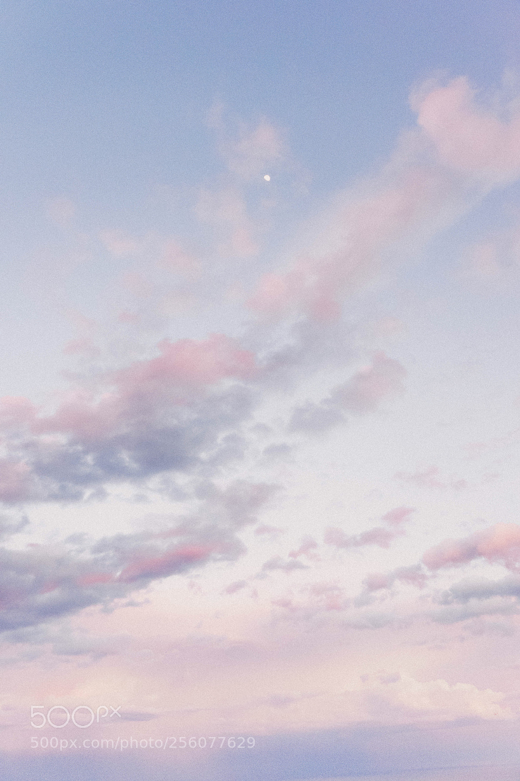 Sony a7 II sample photo. Summer sky photography