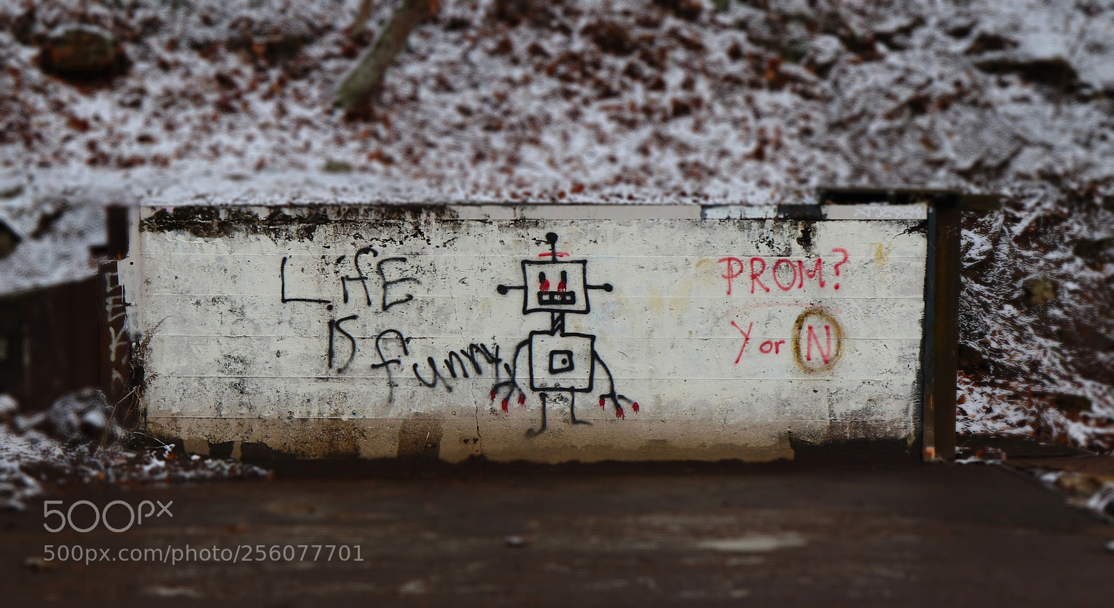 Canon EOS 800D (EOS Rebel T7i / EOS Kiss X9i) sample photo. Life is funny a photography