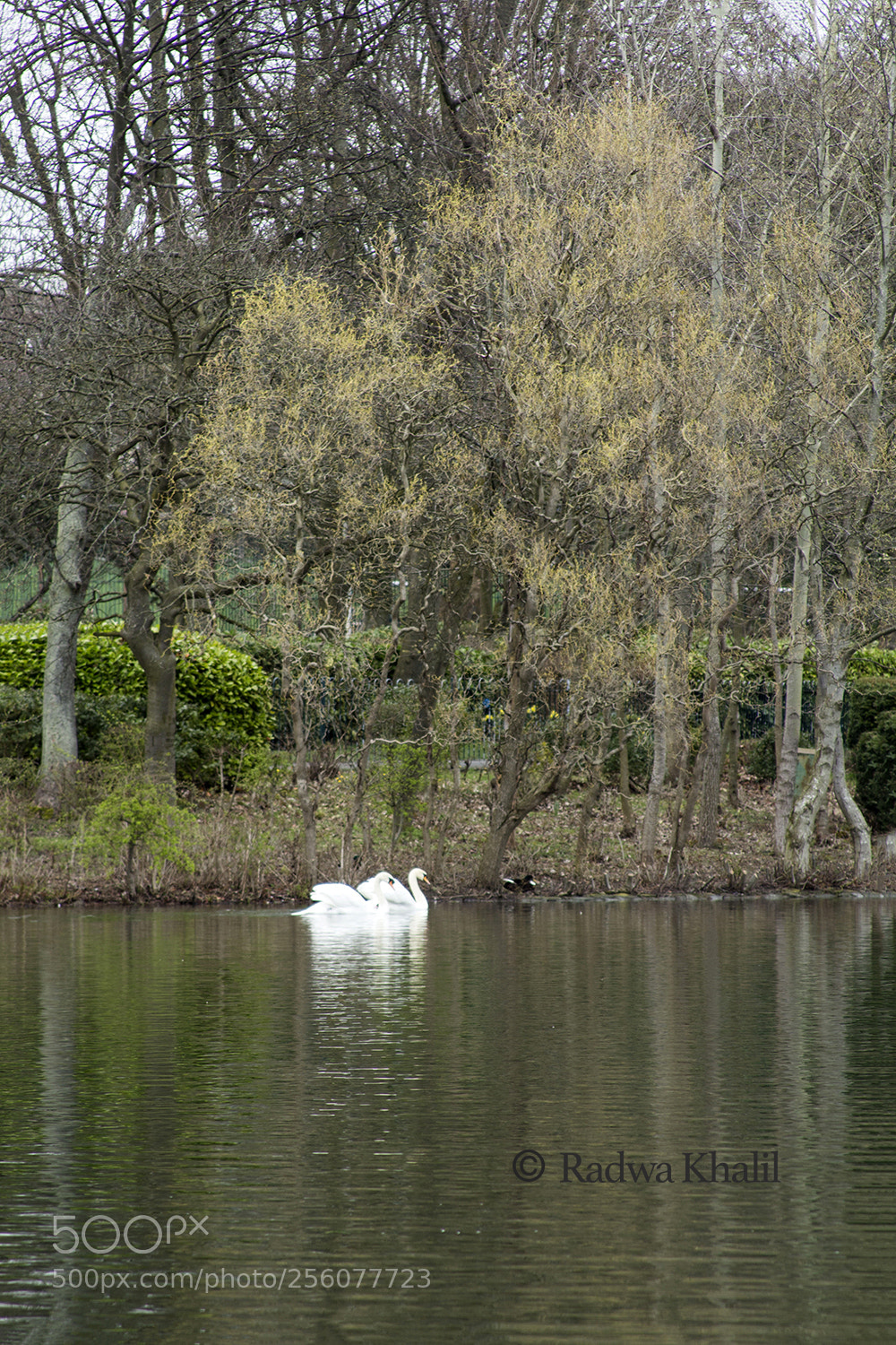 Canon EOS 700D (EOS Rebel T5i / EOS Kiss X7i) sample photo. Pond photography