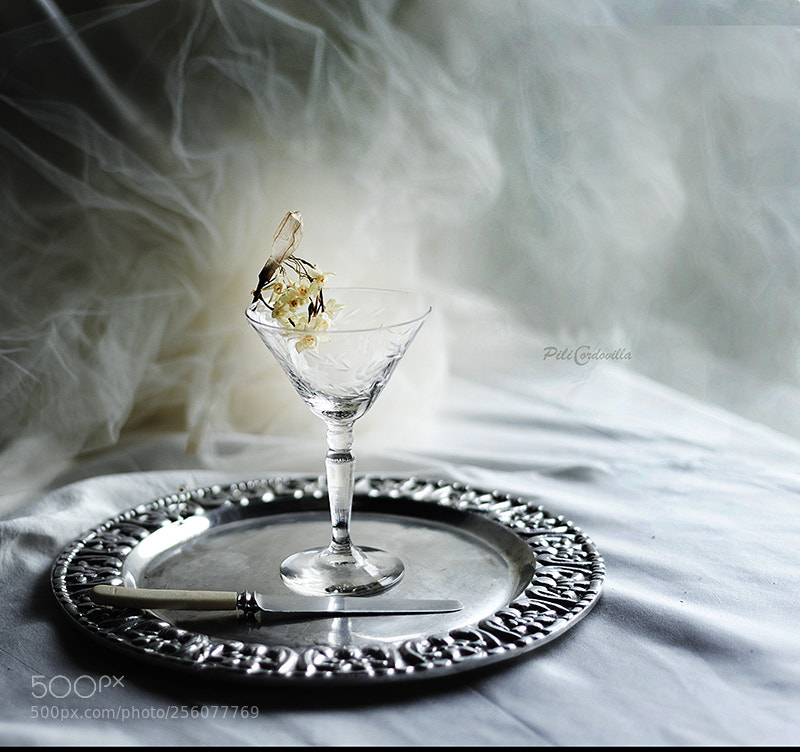 Nikon D750 sample photo. Luces photography