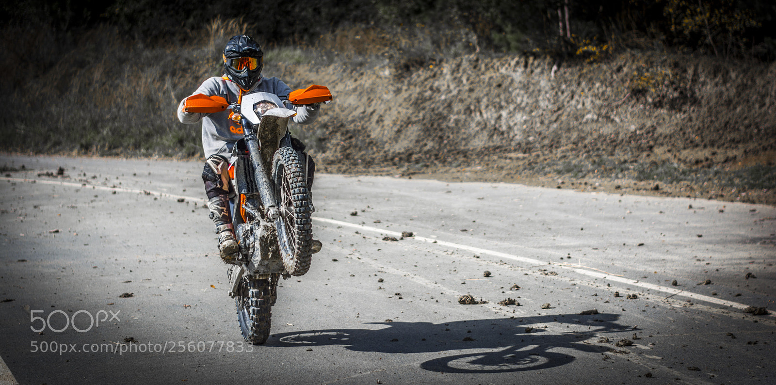 Nikon D7100 sample photo. Untitled photography