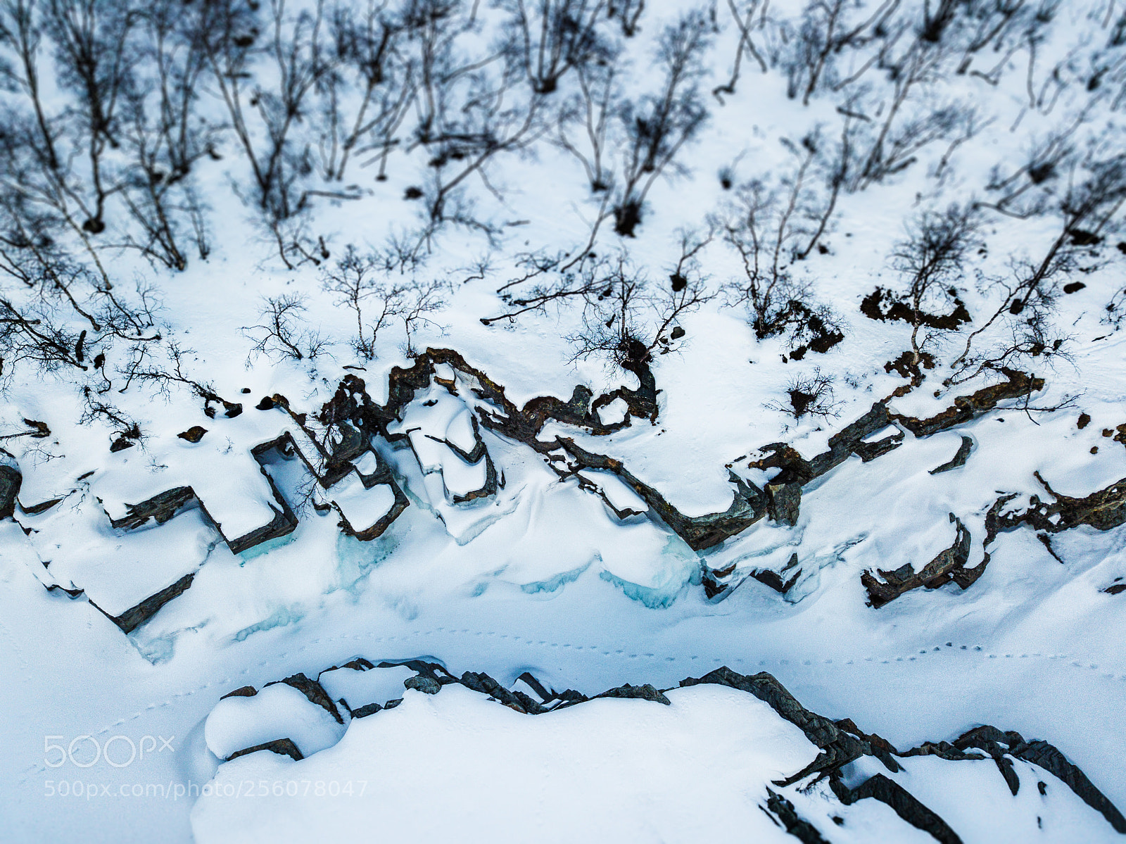 DJI FC220 sample photo. Footsteps in the snow photography