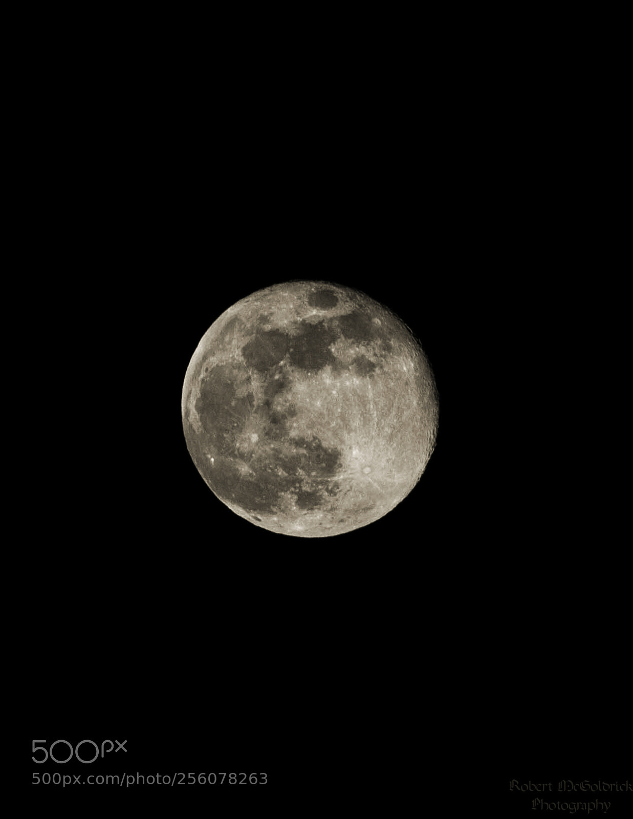 Nikon D3100 sample photo. The pink moon (night) photography