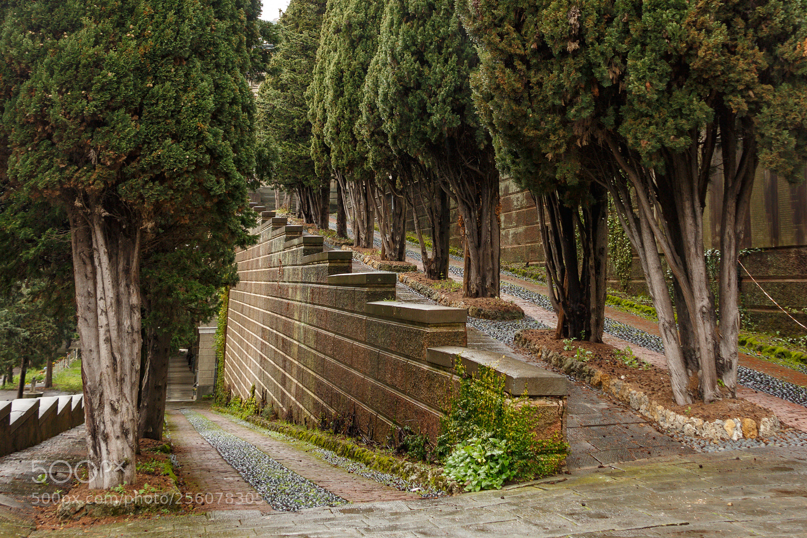 Canon EOS 700D (EOS Rebel T5i / EOS Kiss X7i) sample photo. Staglieno alley photography