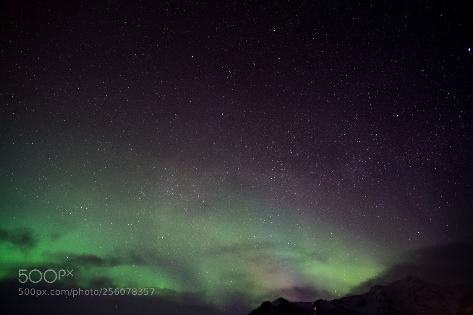 Sony a7R II sample photo. Boreal color photography