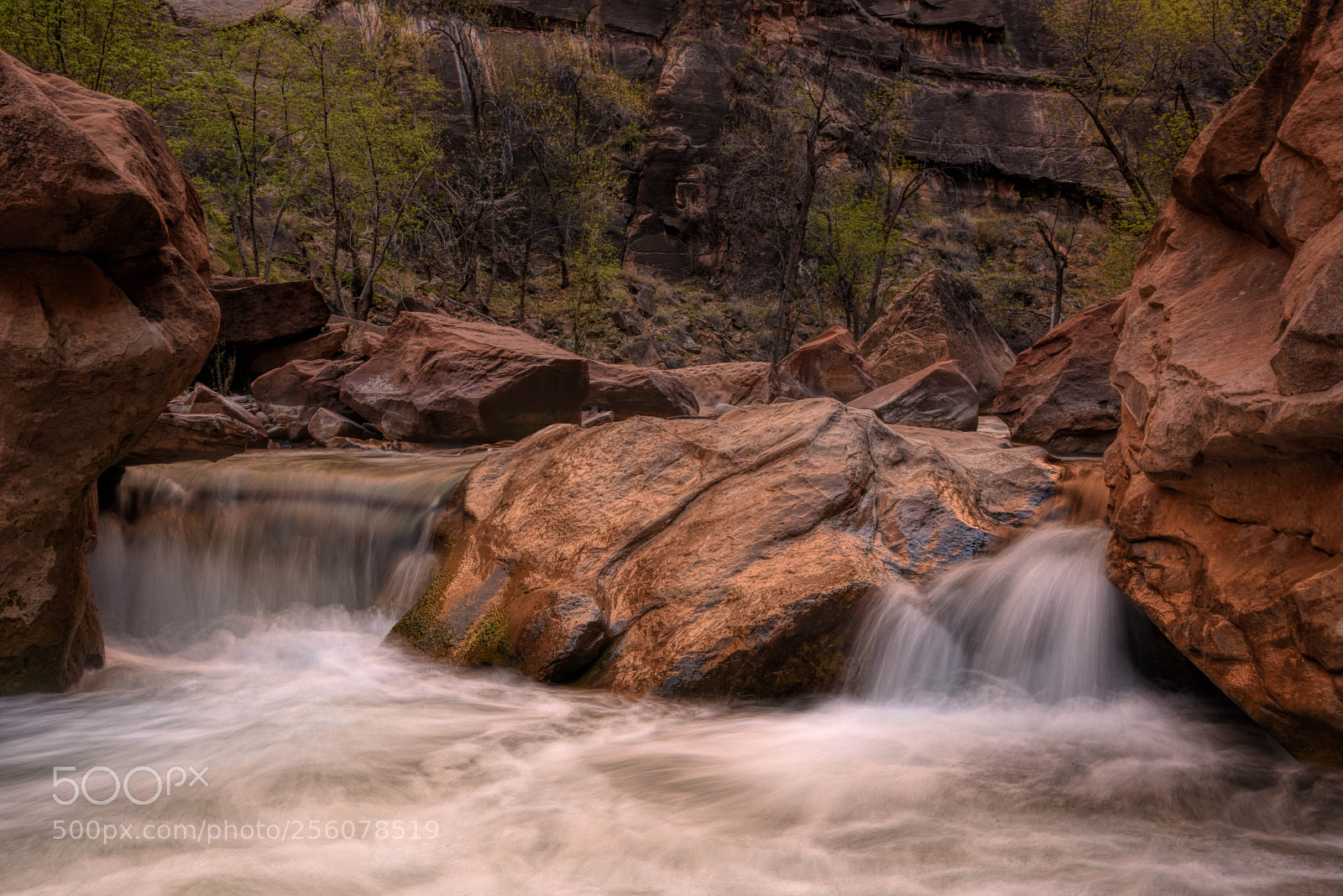 Nikon D810 sample photo. Water, part 2 photography