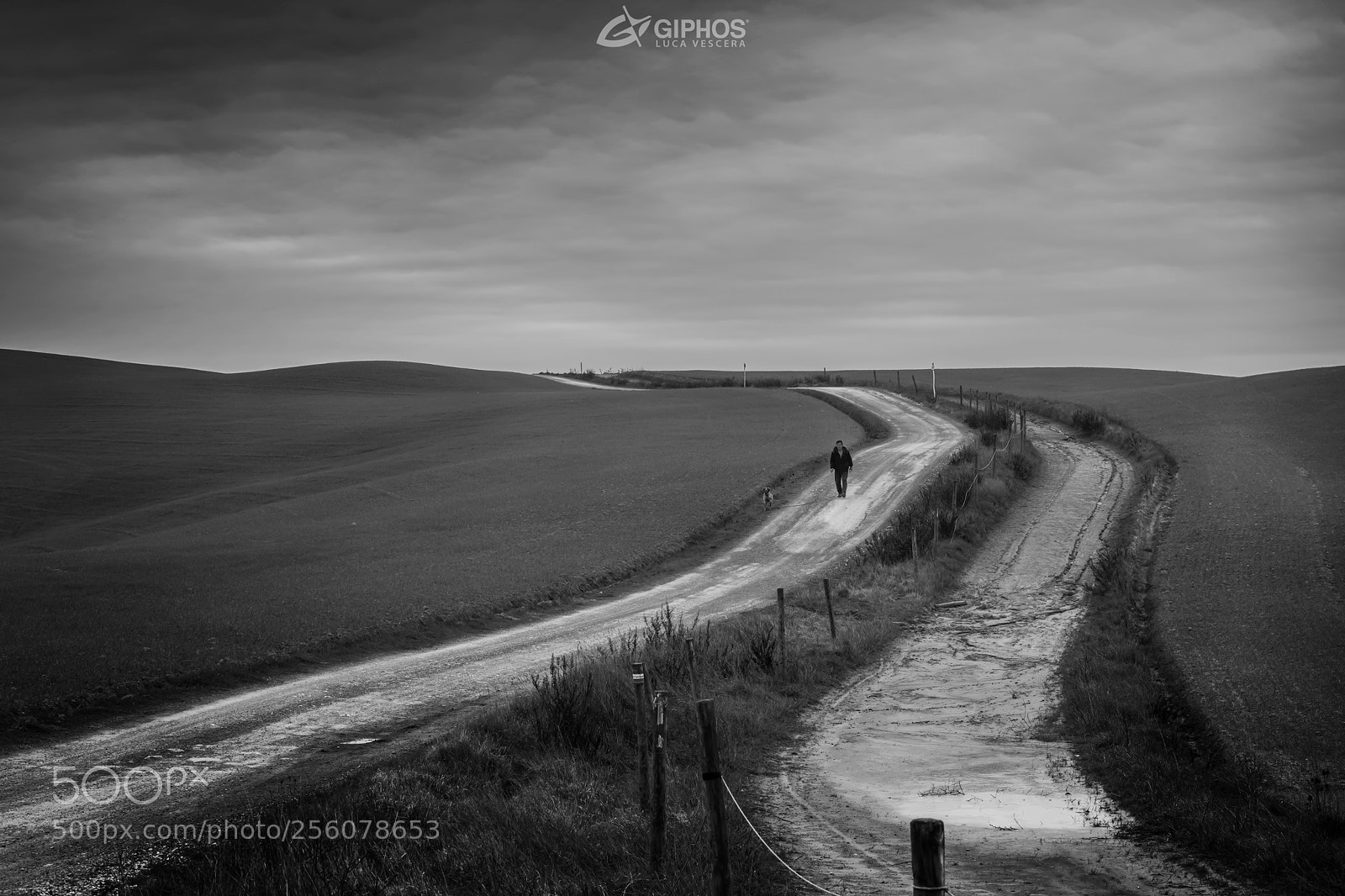 Nikon D850 sample photo. Which road to take ? photography