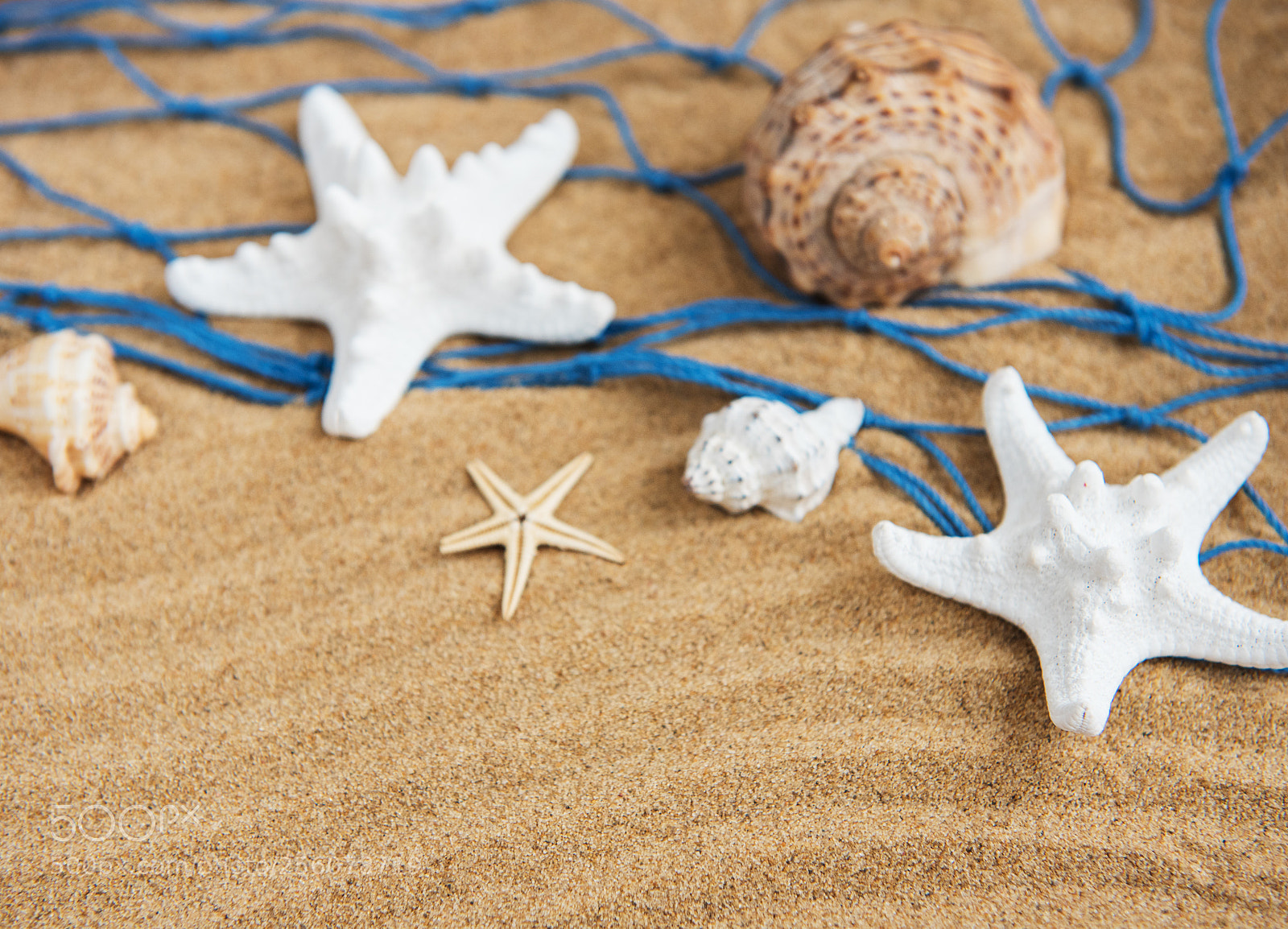 Nikon D750 sample photo. Fishing net with starfish photography