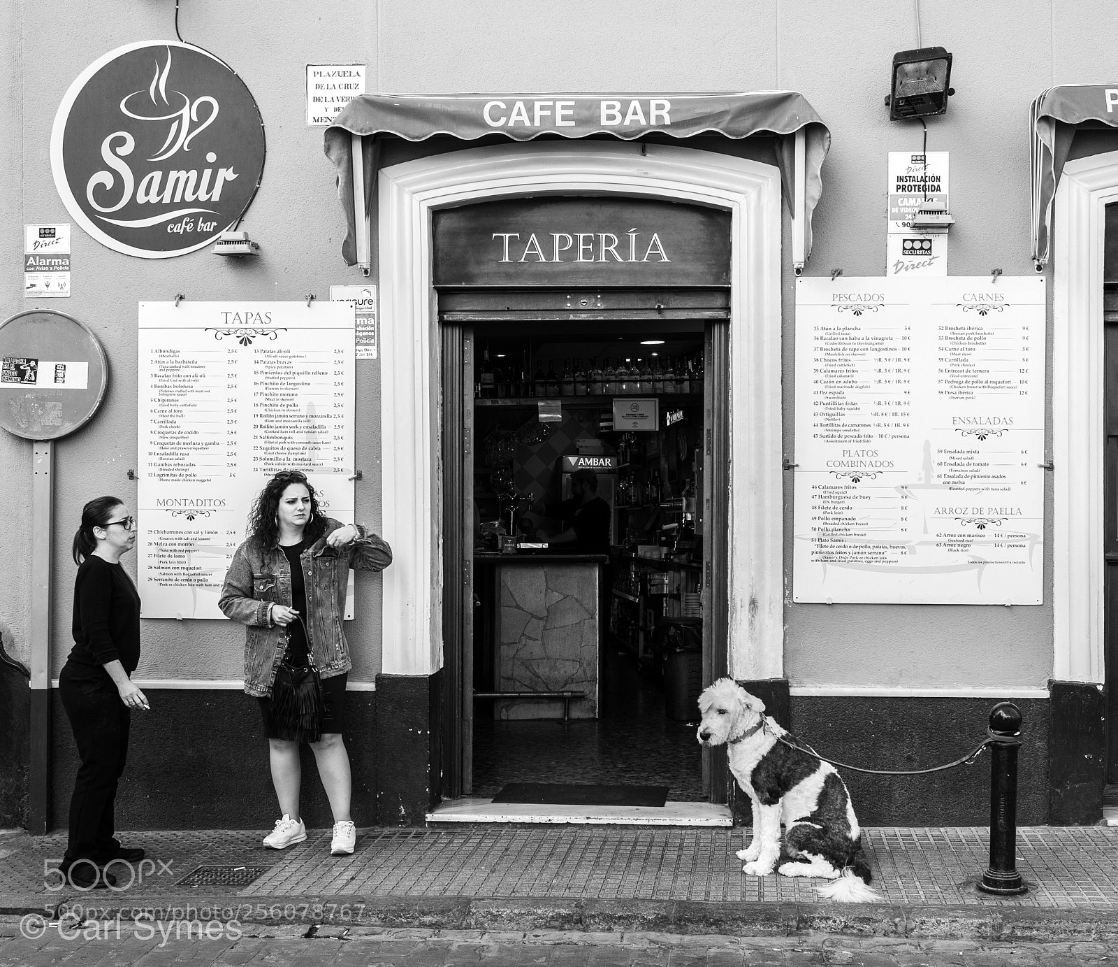 Leica Q (Typ 116) sample photo. Waiting patiently. photography