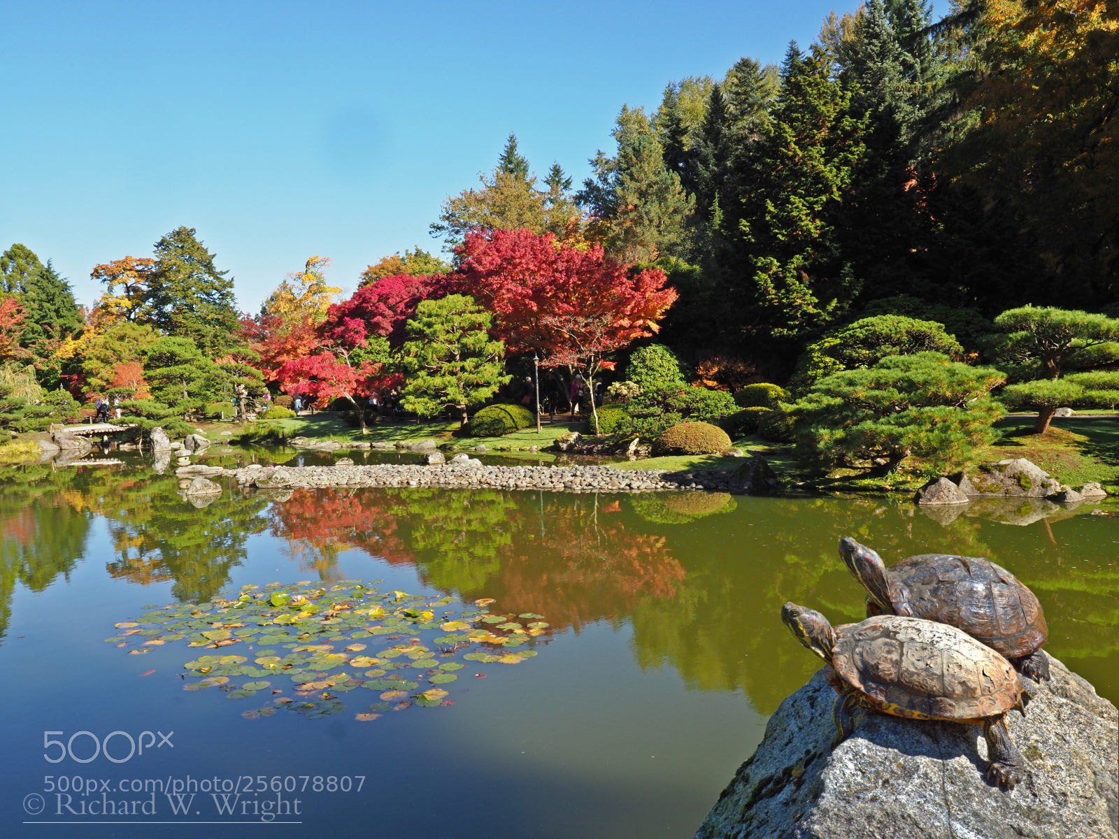 Olympus OM-D E-M1 Mark II sample photo. Turtle rock photography