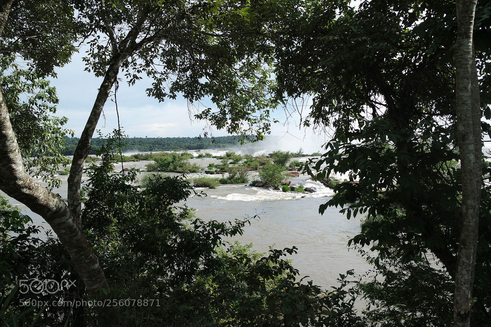 Samsung NX3000 sample photo. Untitled photography