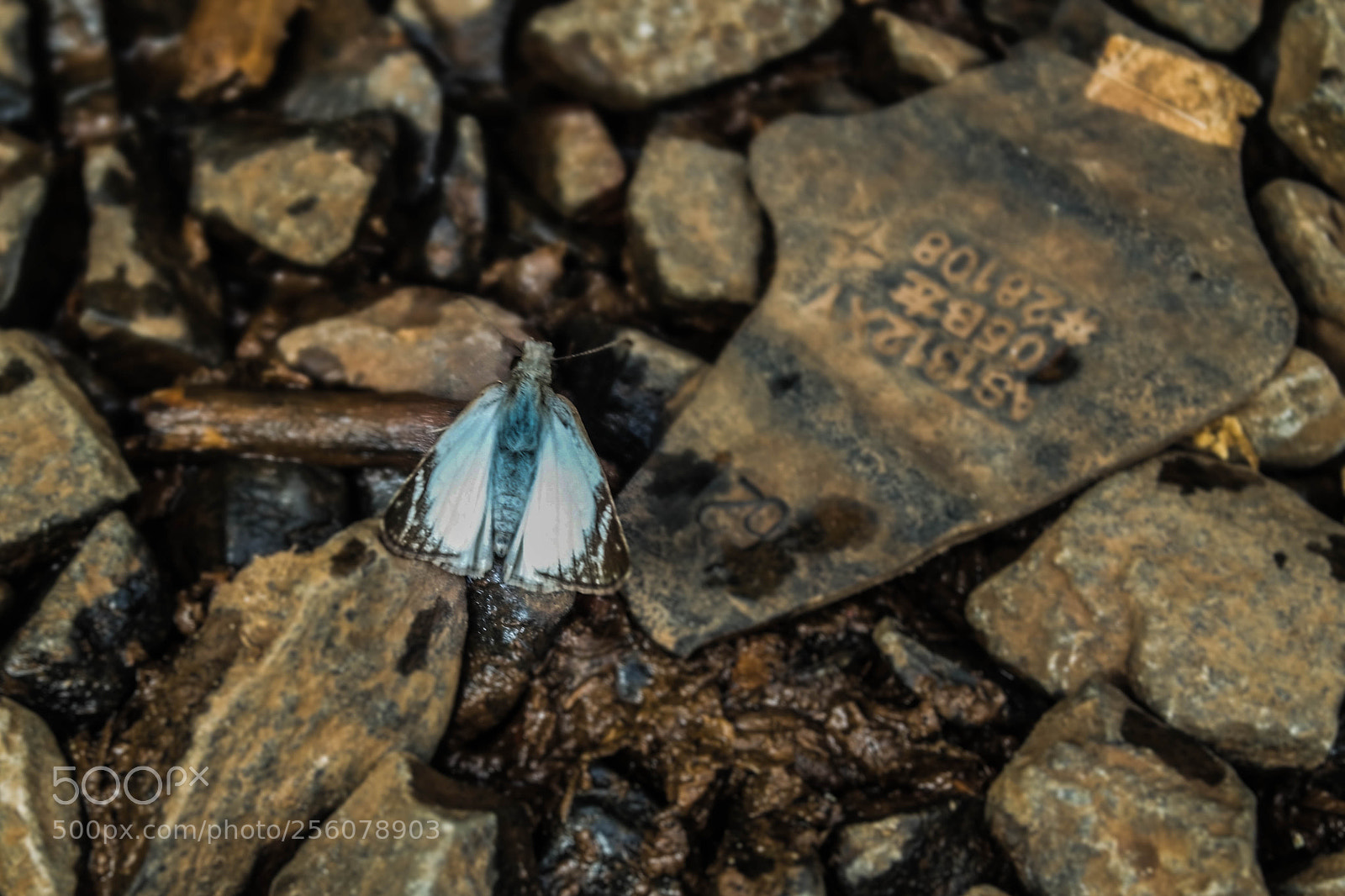 Samsung NX3000 sample photo. Untitled photography