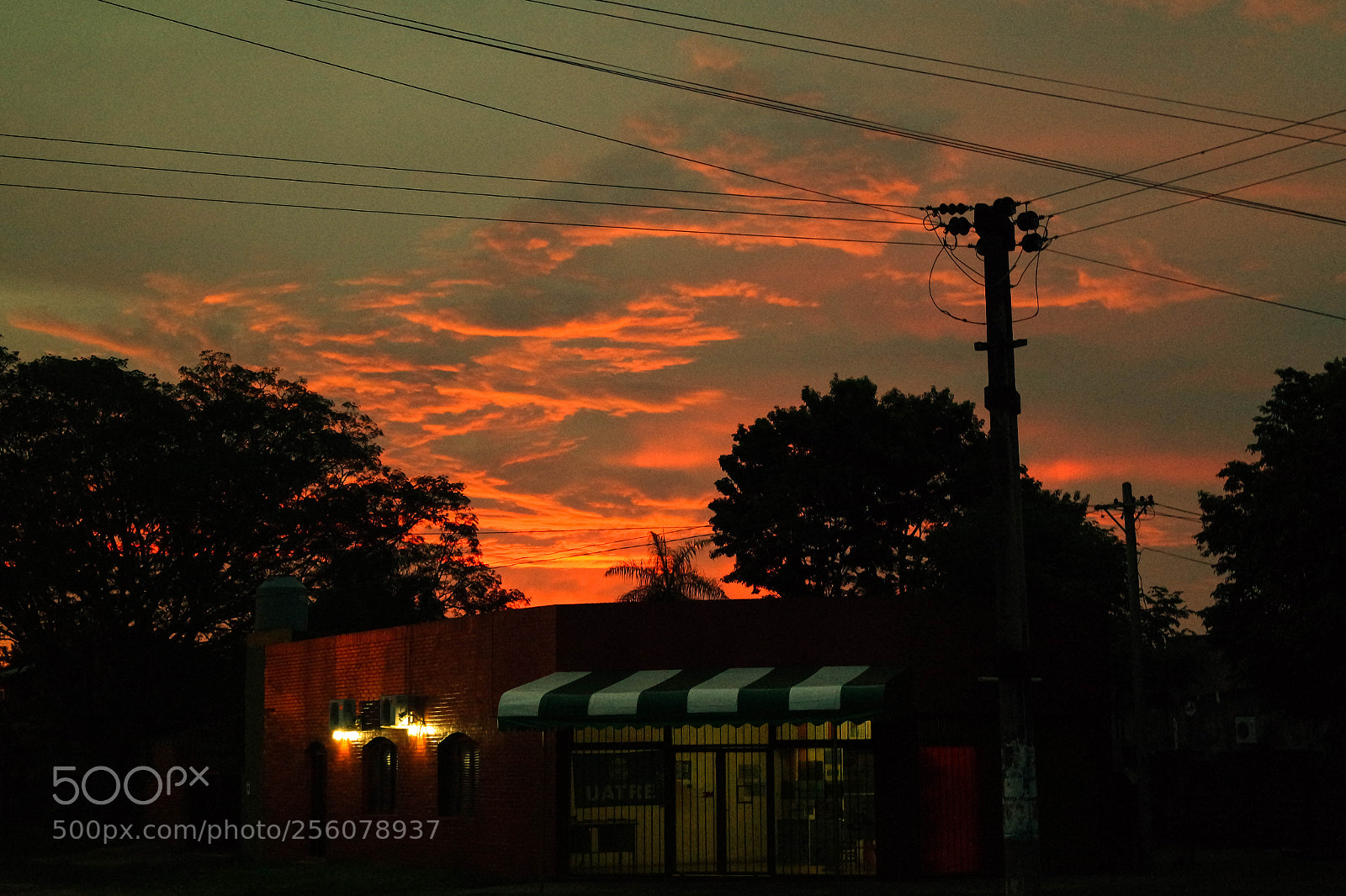 Samsung NX3000 sample photo. Untitled photography