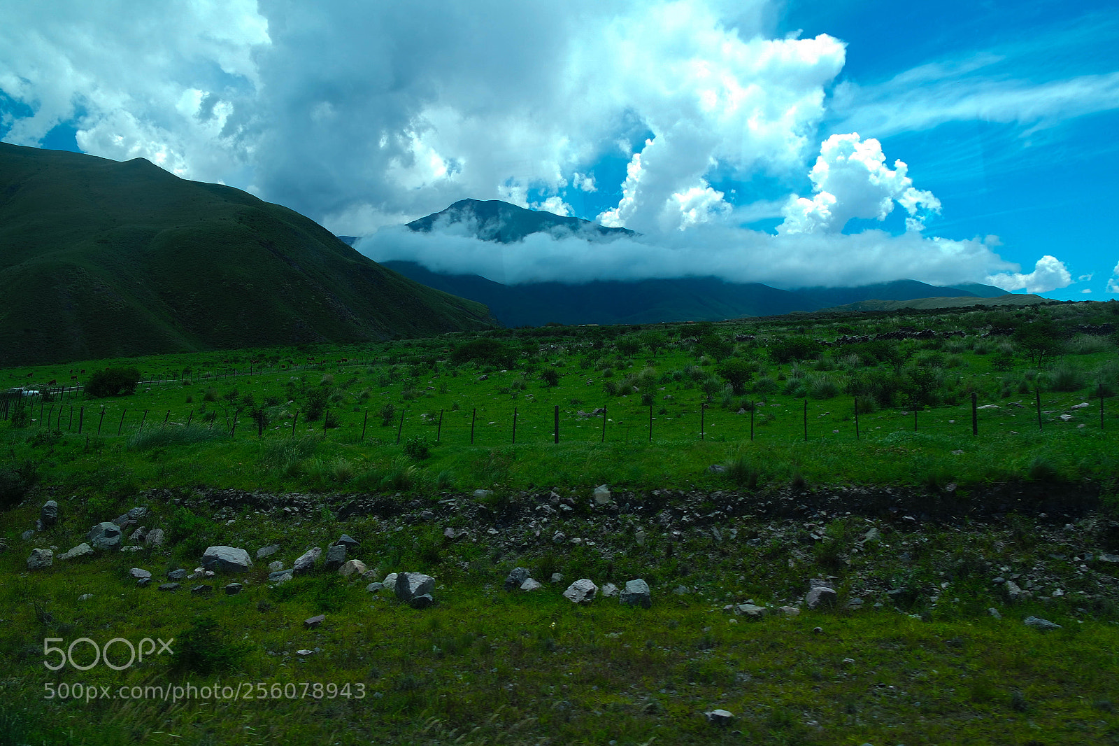 Samsung NX3000 sample photo. Untitled photography