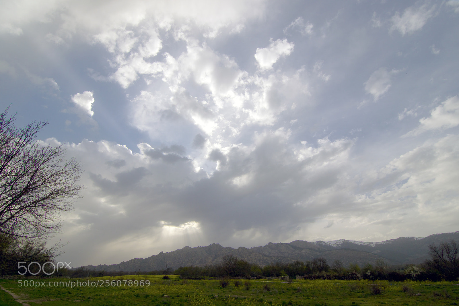 Nikon D3300 sample photo. Pedriza photography