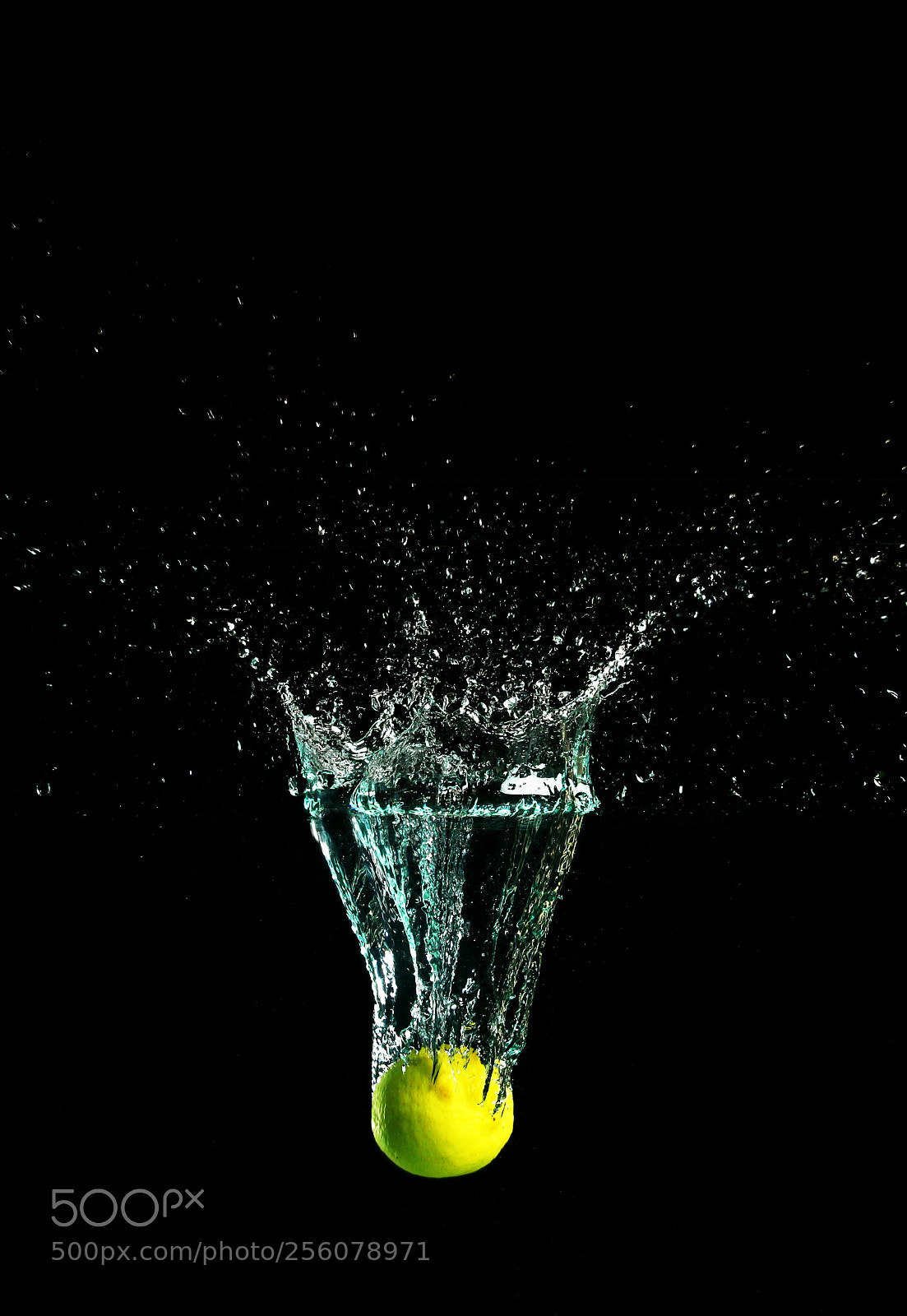 Canon EOS 60D sample photo. Splash photography