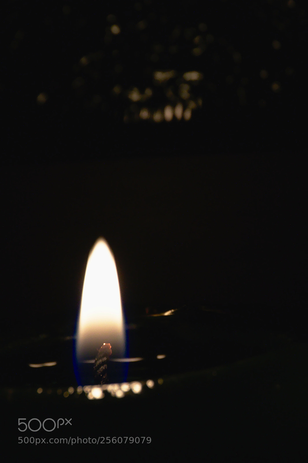 Nikon D3200 sample photo. Light photography