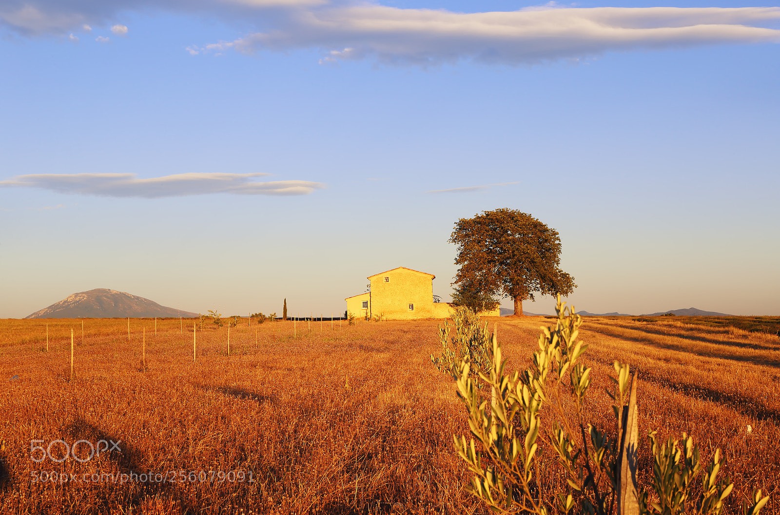 Canon EOS 6D sample photo. Southern france, evening in photography