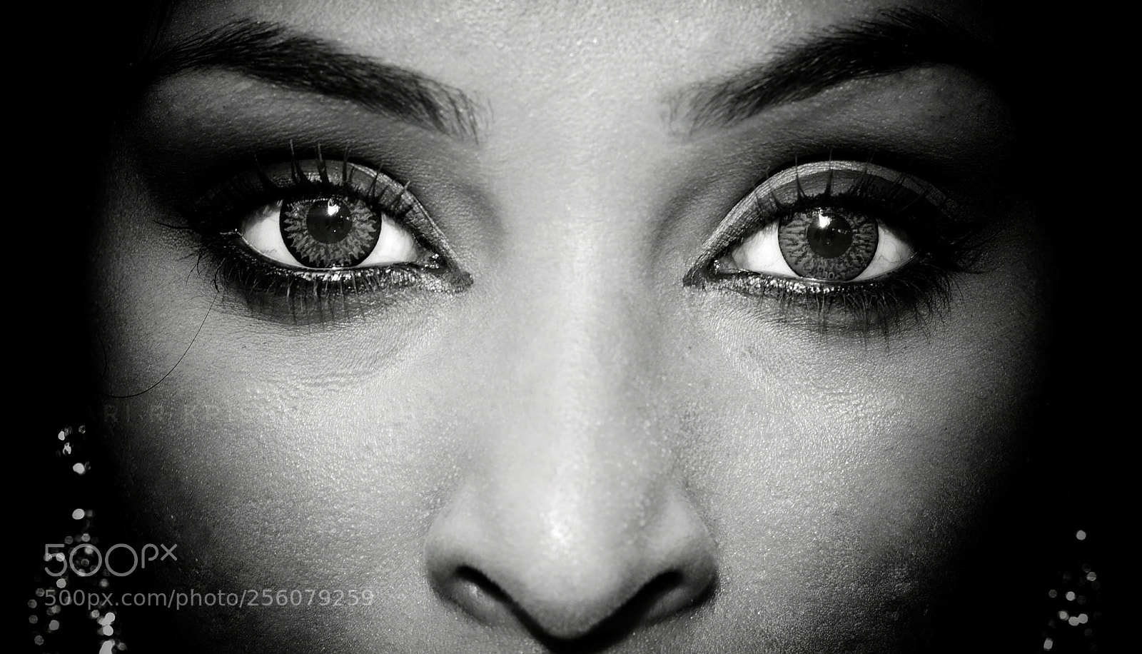 Nikon D750 sample photo. Untitled photography