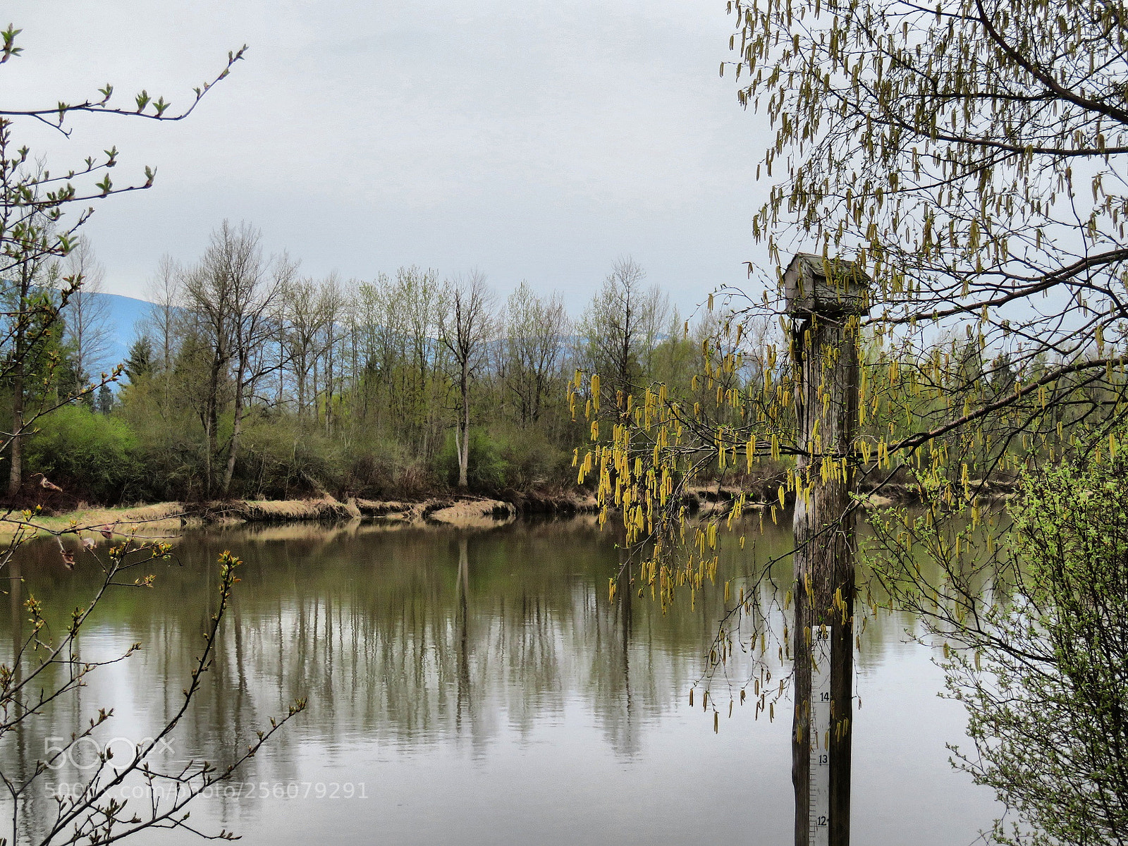 Canon PowerShot SX720 HS sample photo. The river rising. photography