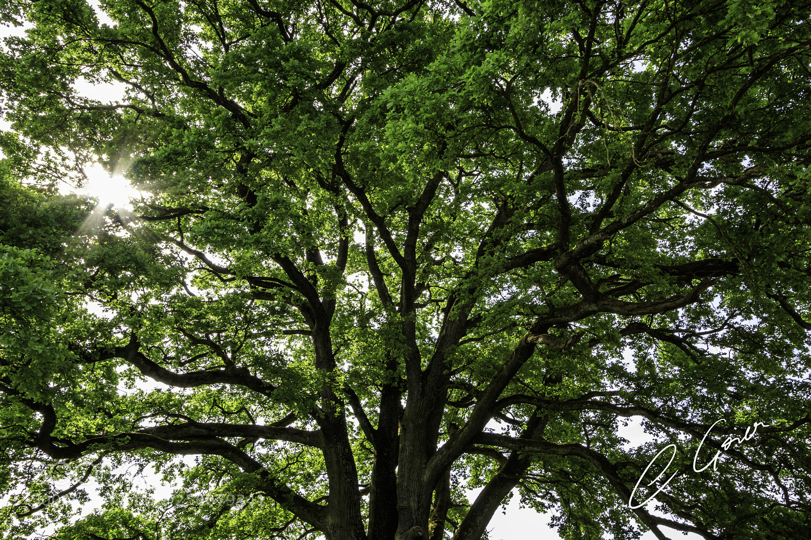 Canon EOS 77D (EOS 9000D / EOS 770D) sample photo. 16 mm ... what photography