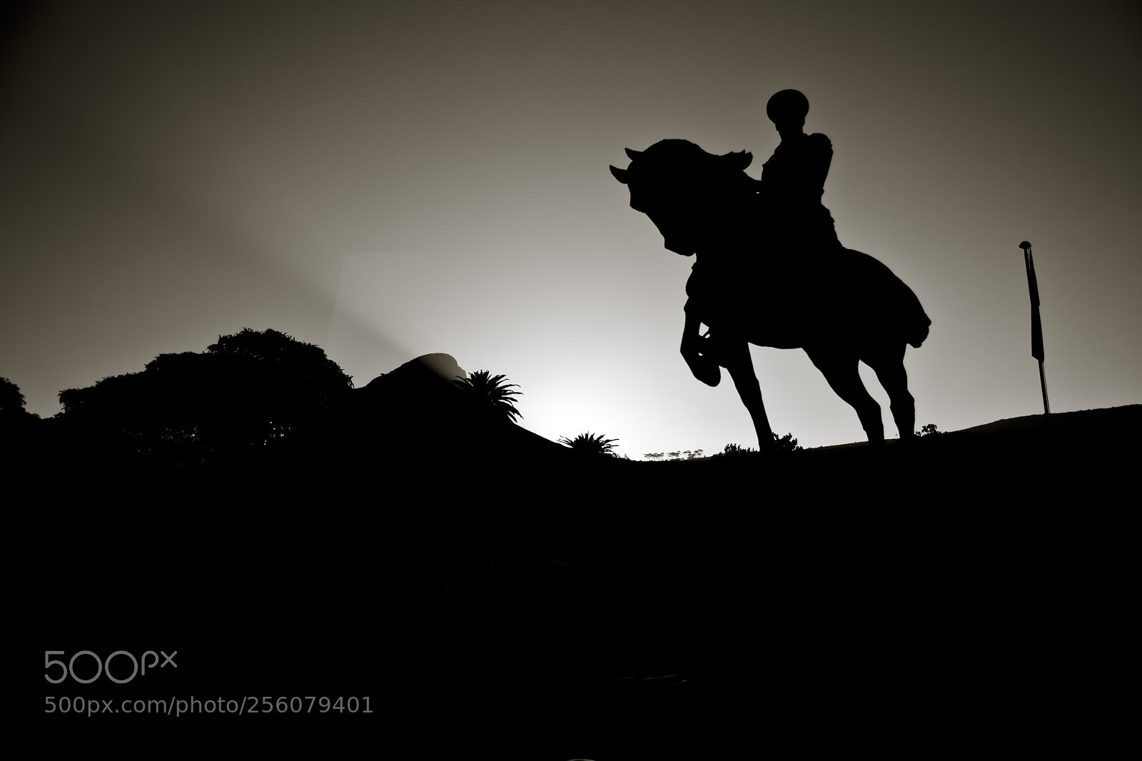 Nikon D7100 sample photo. Untitled photography