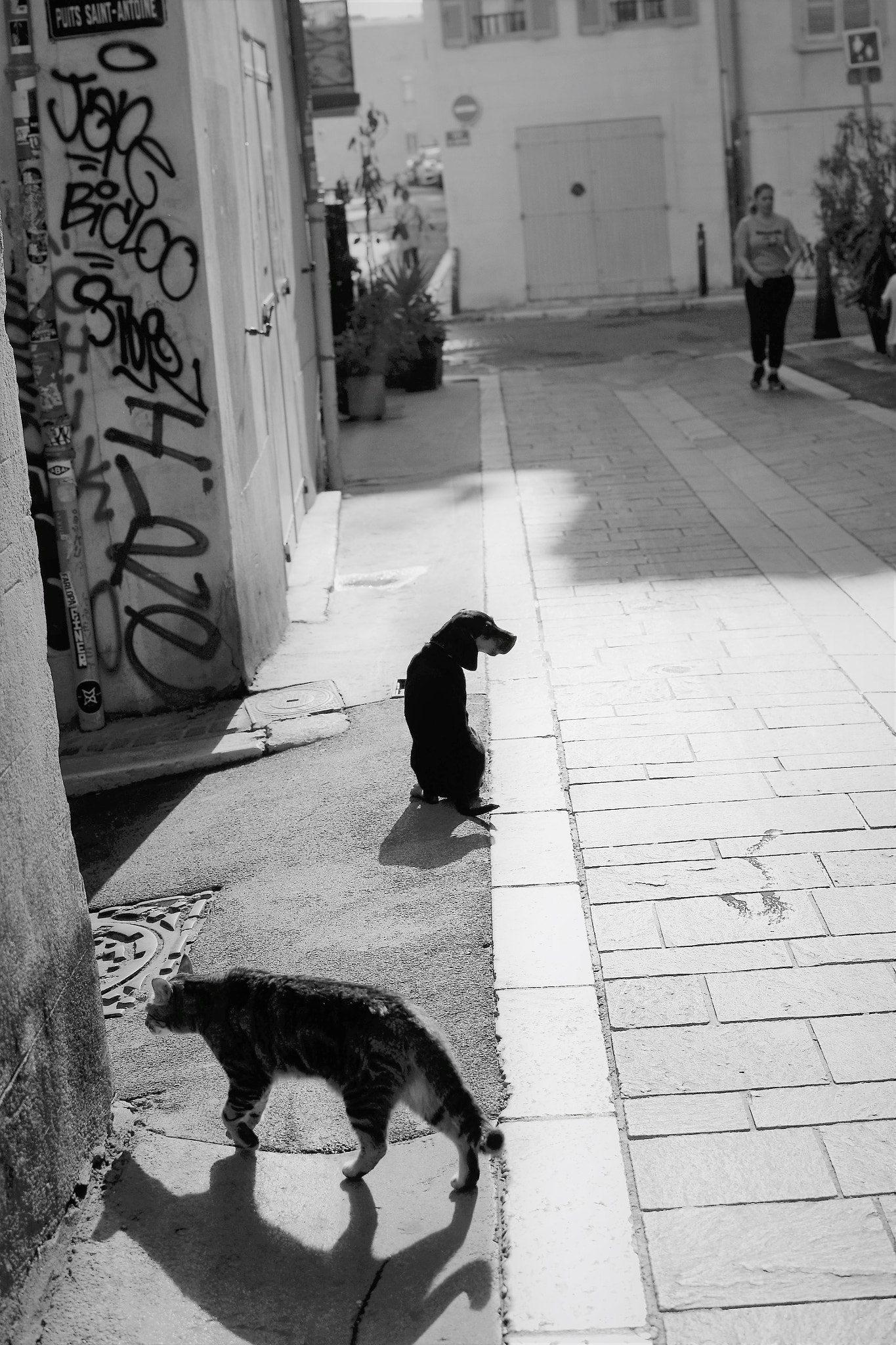 Nikon D3100 + Nikon AF-S DX Nikkor 35mm F1.8G sample photo. Rue du panier 2 photography