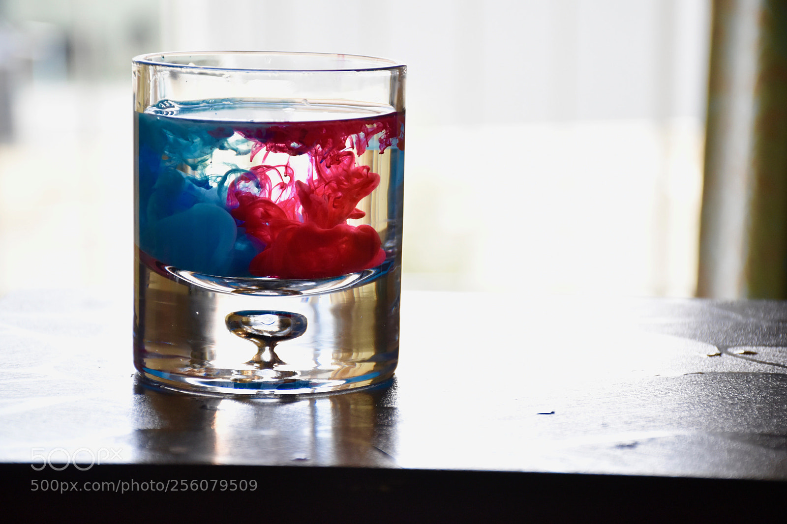 Nikon D5600 sample photo. Mixing colors photography