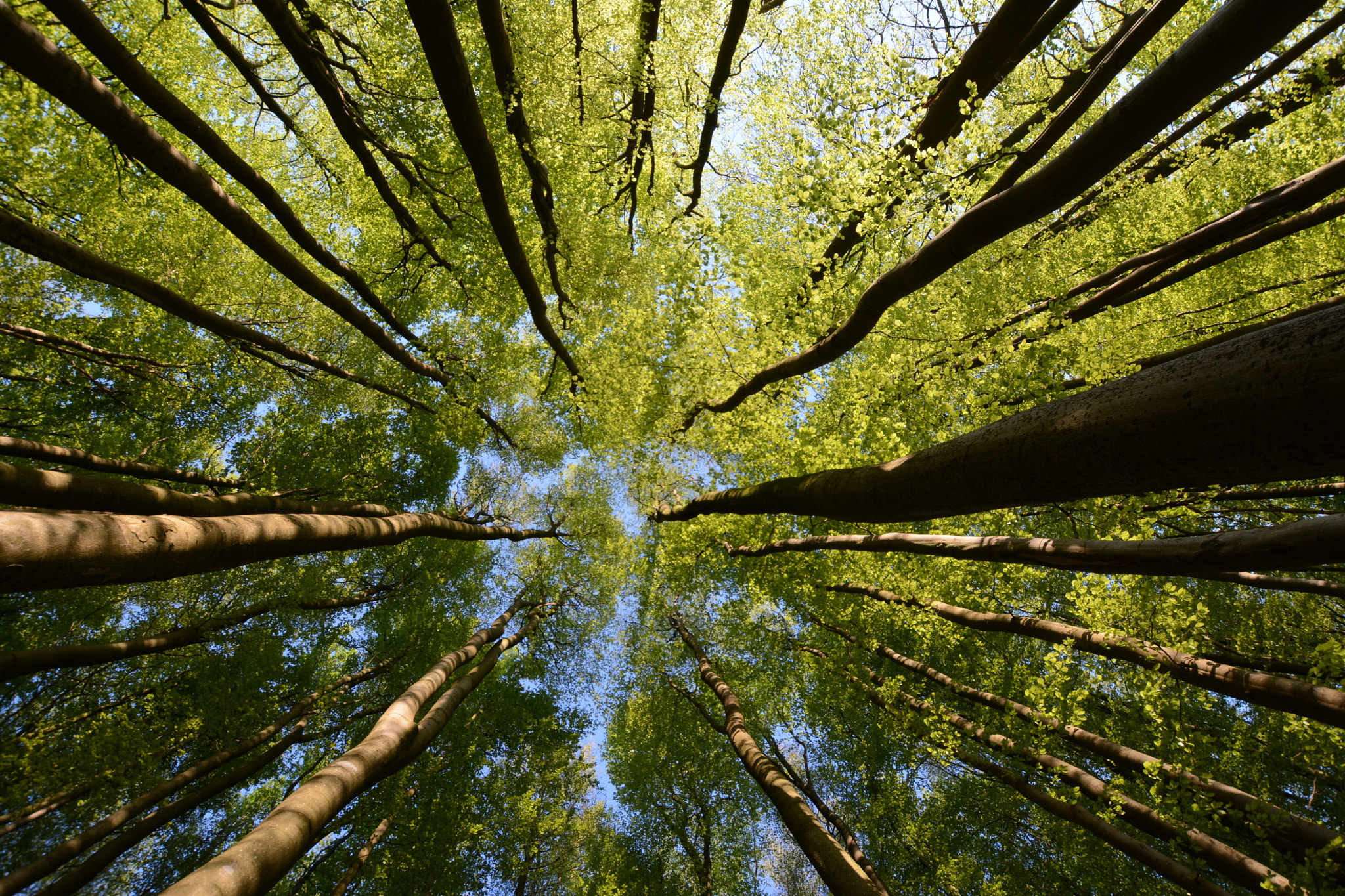 Nikon D7100 + Sigma 10-20mm F3.5 EX DC HSM sample photo. Spring photography