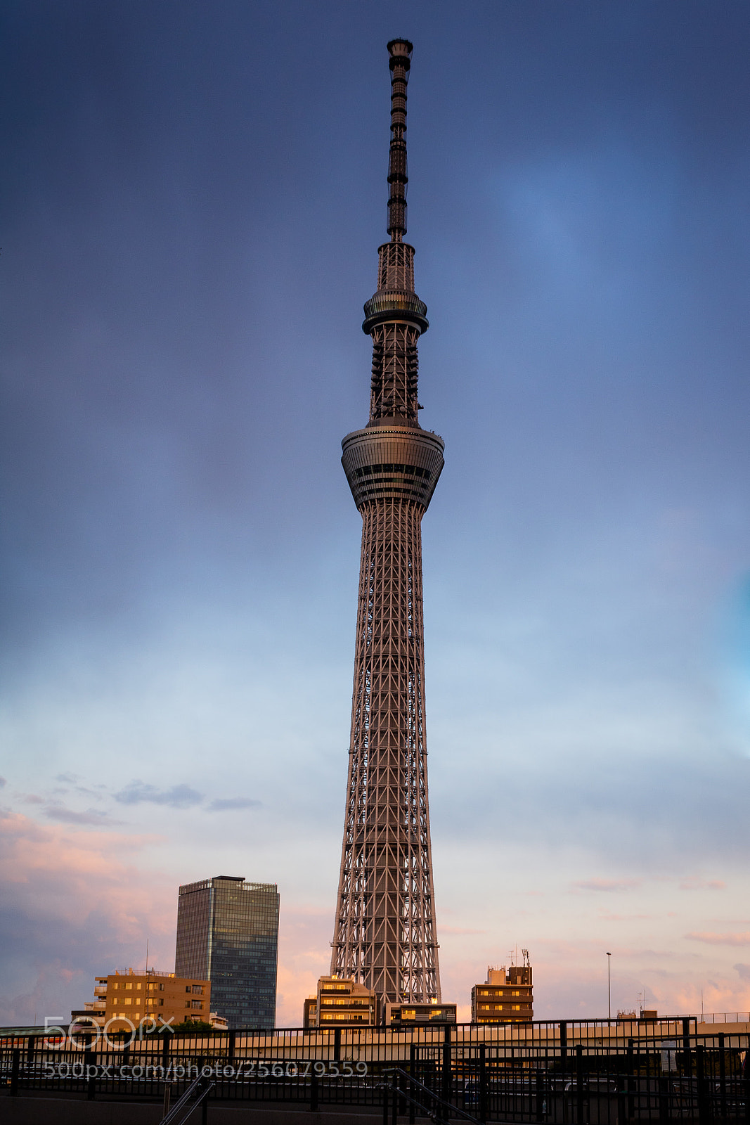 Canon EOS 750D (EOS Rebel T6i / EOS Kiss X8i) sample photo. Big in japan photography