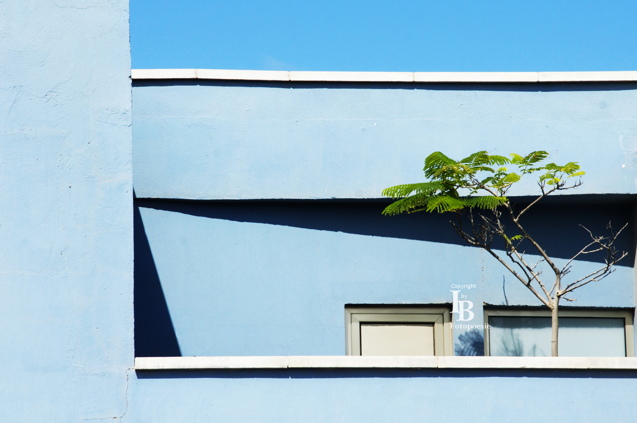 Sony Alpha DSLR-A450 sample photo. Canarian balcony still life photography