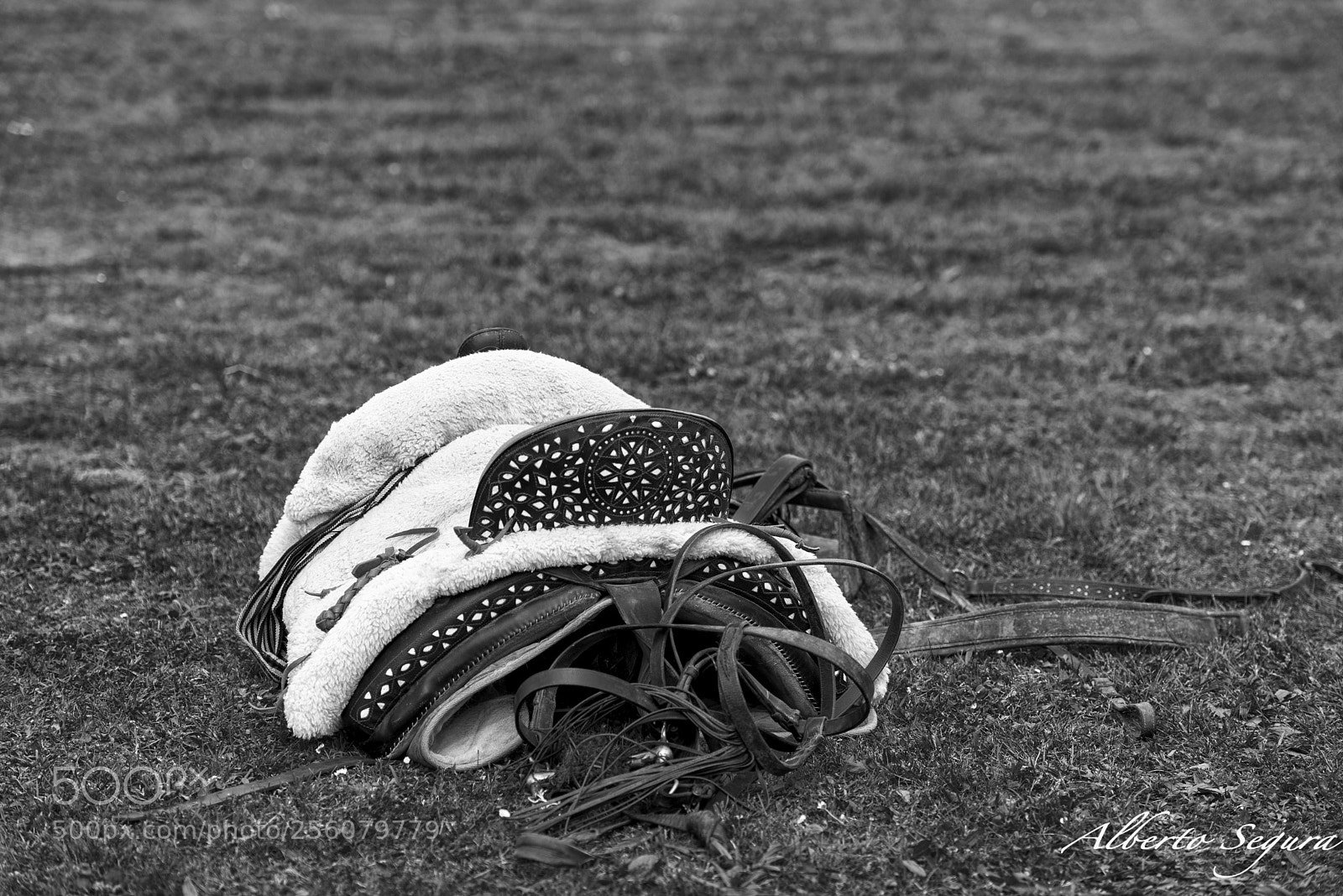 Nikon D610 sample photo. Silla de montar photography