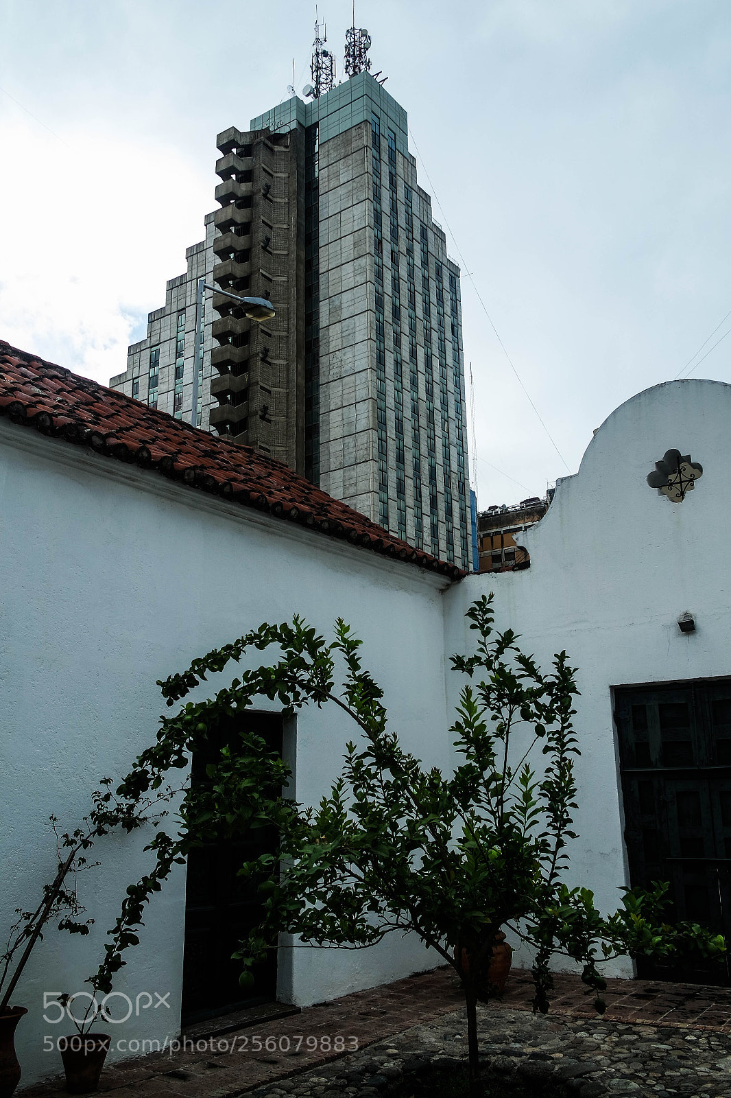 Samsung NX3000 sample photo. Untitled photography