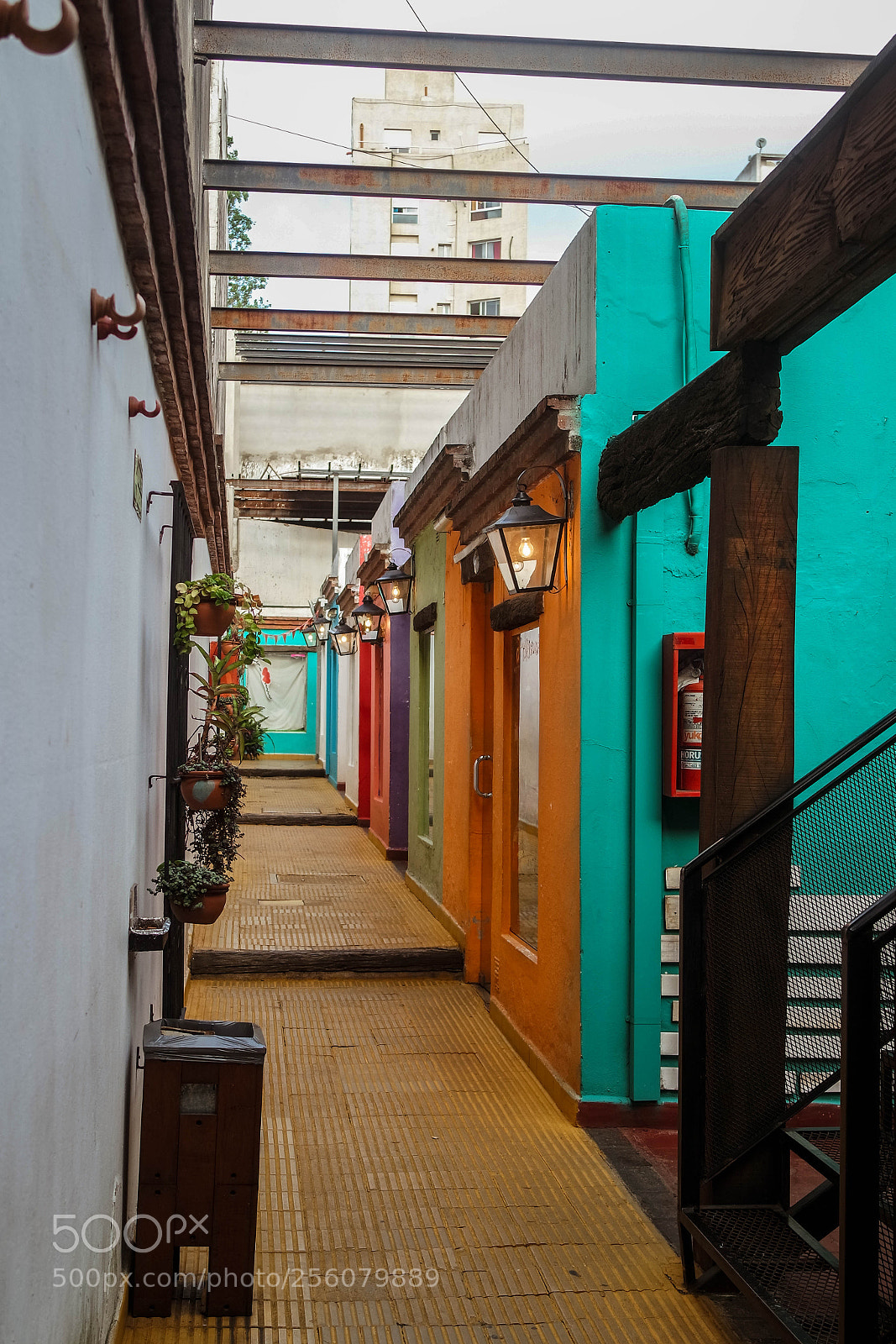 Samsung NX3000 sample photo. Untitled photography