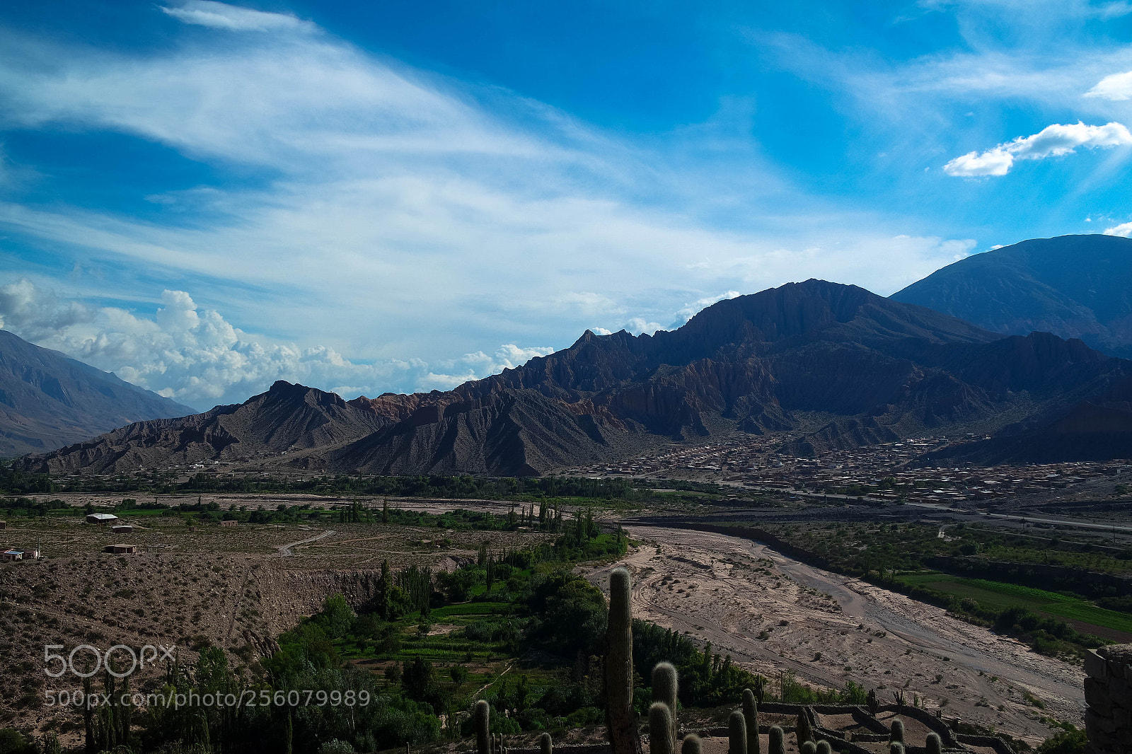 Samsung NX3000 sample photo. Untitled photography