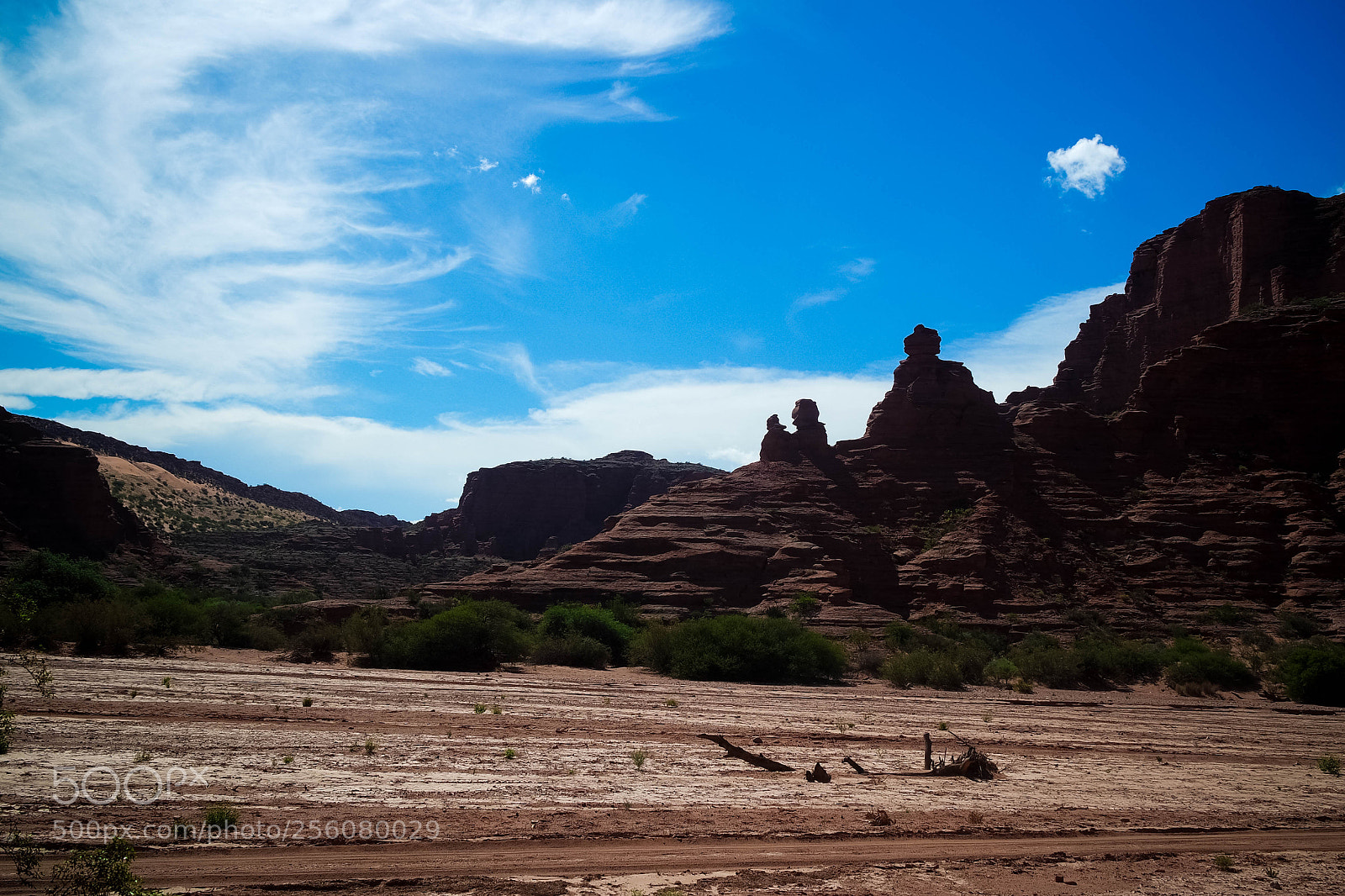 Samsung NX3000 sample photo. Untitled photography